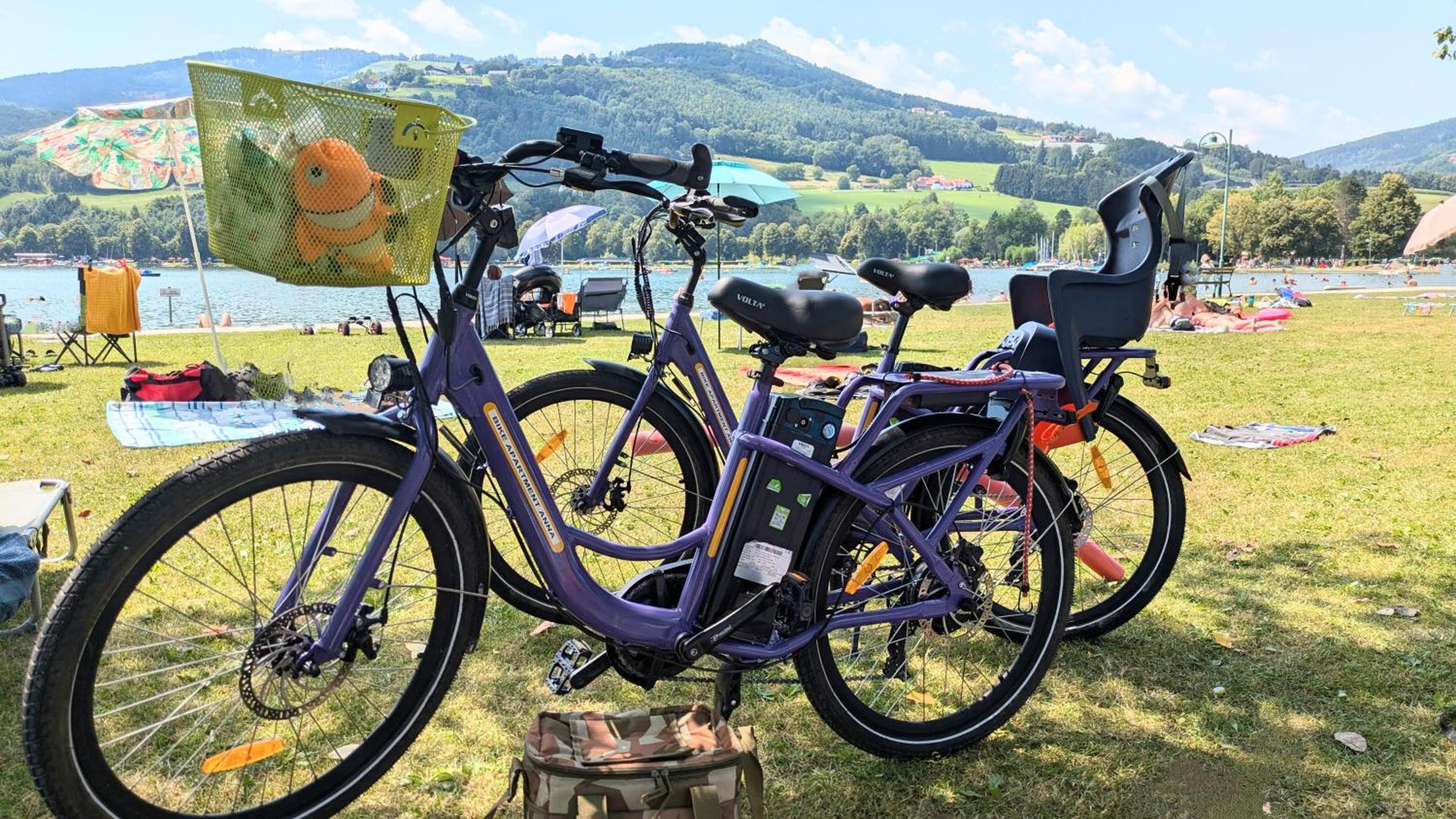 Zwei Schlafzimmer Ferienapartment Anna am Stubenbergsee inklusive zwei E-Bikes