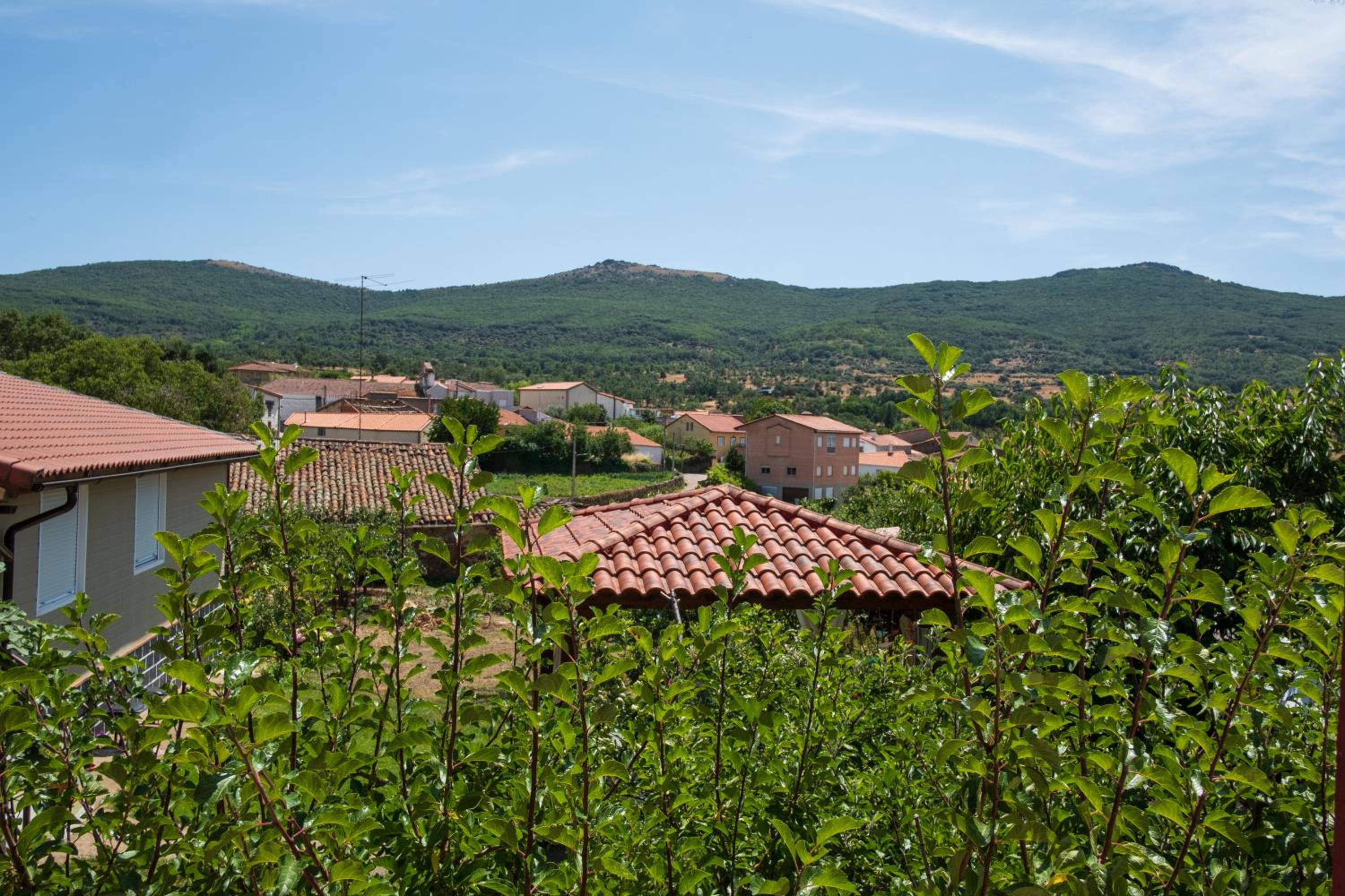Casa Rural Rinconada
