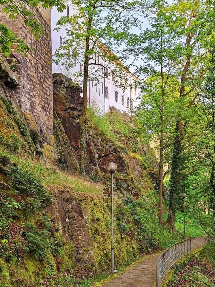 Apartmán Pavel