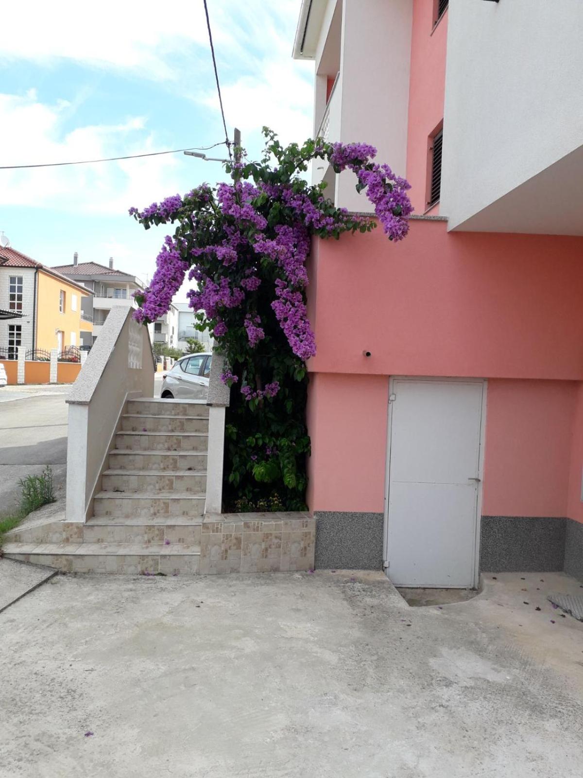 Apartman Orange