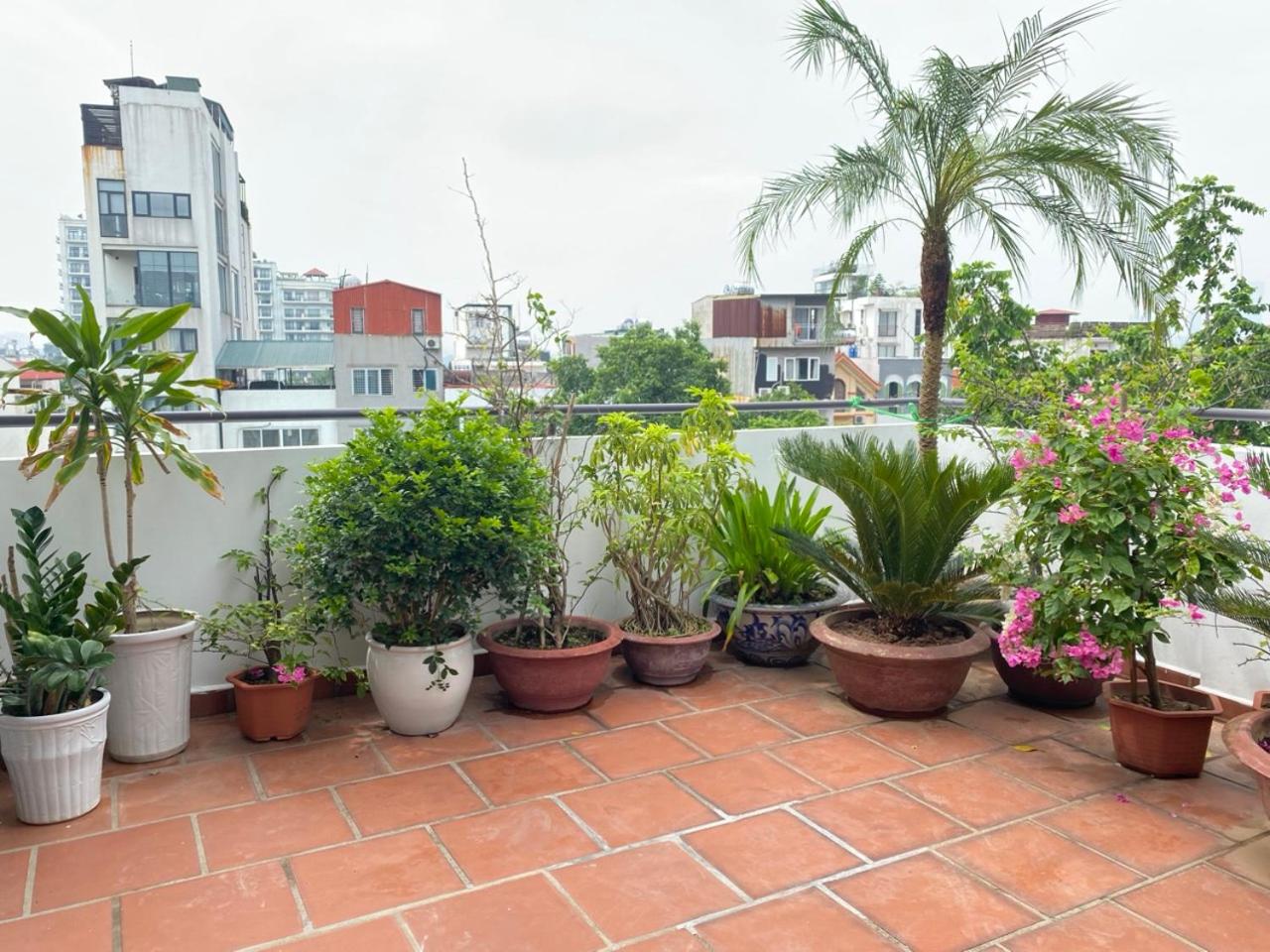 Davidduc's Penhouse Apartment