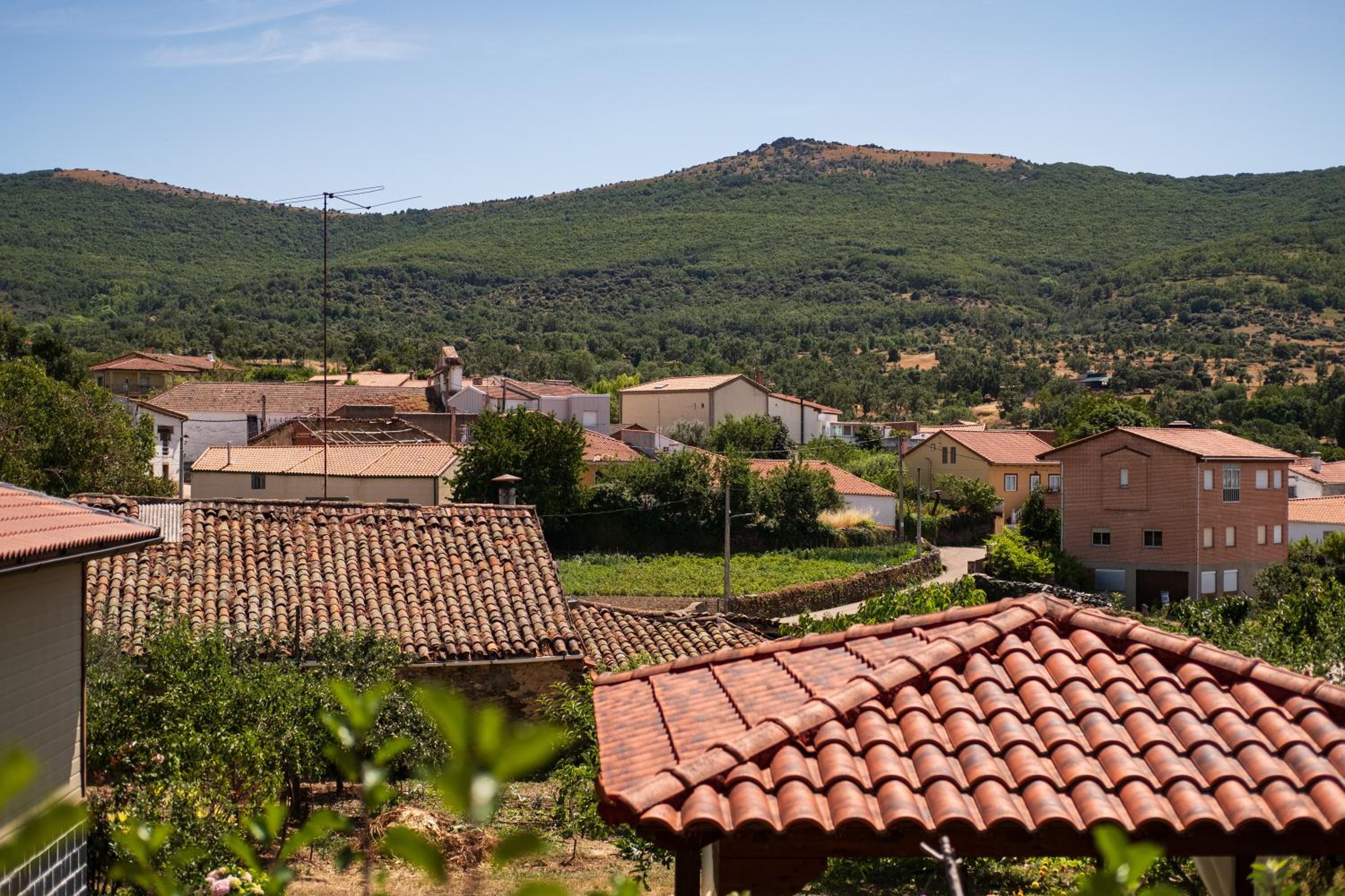 Casa Rural Rinconada