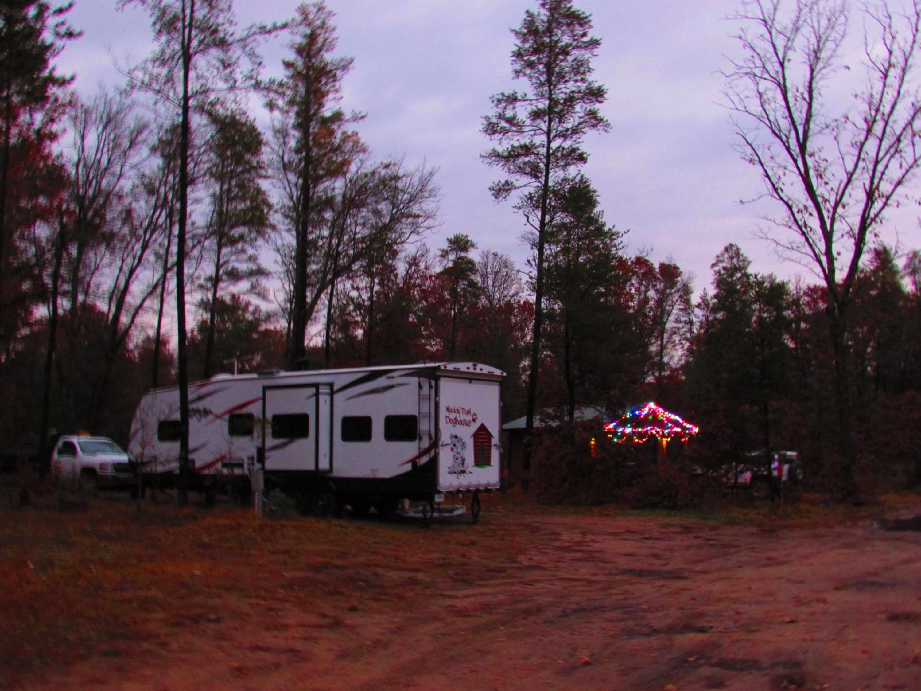 Best Bear Lodge - Property Image 30