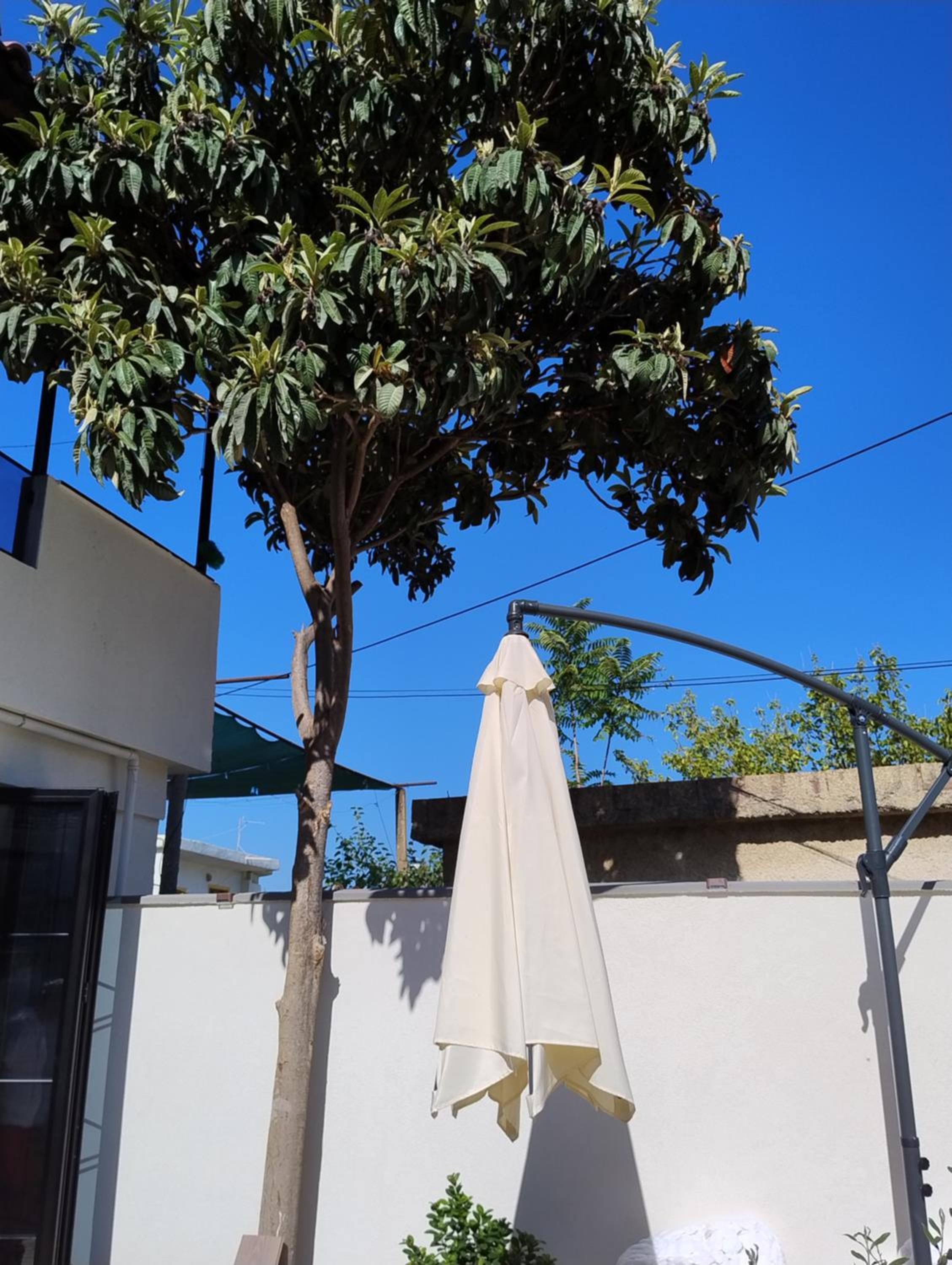 Vila Kurti