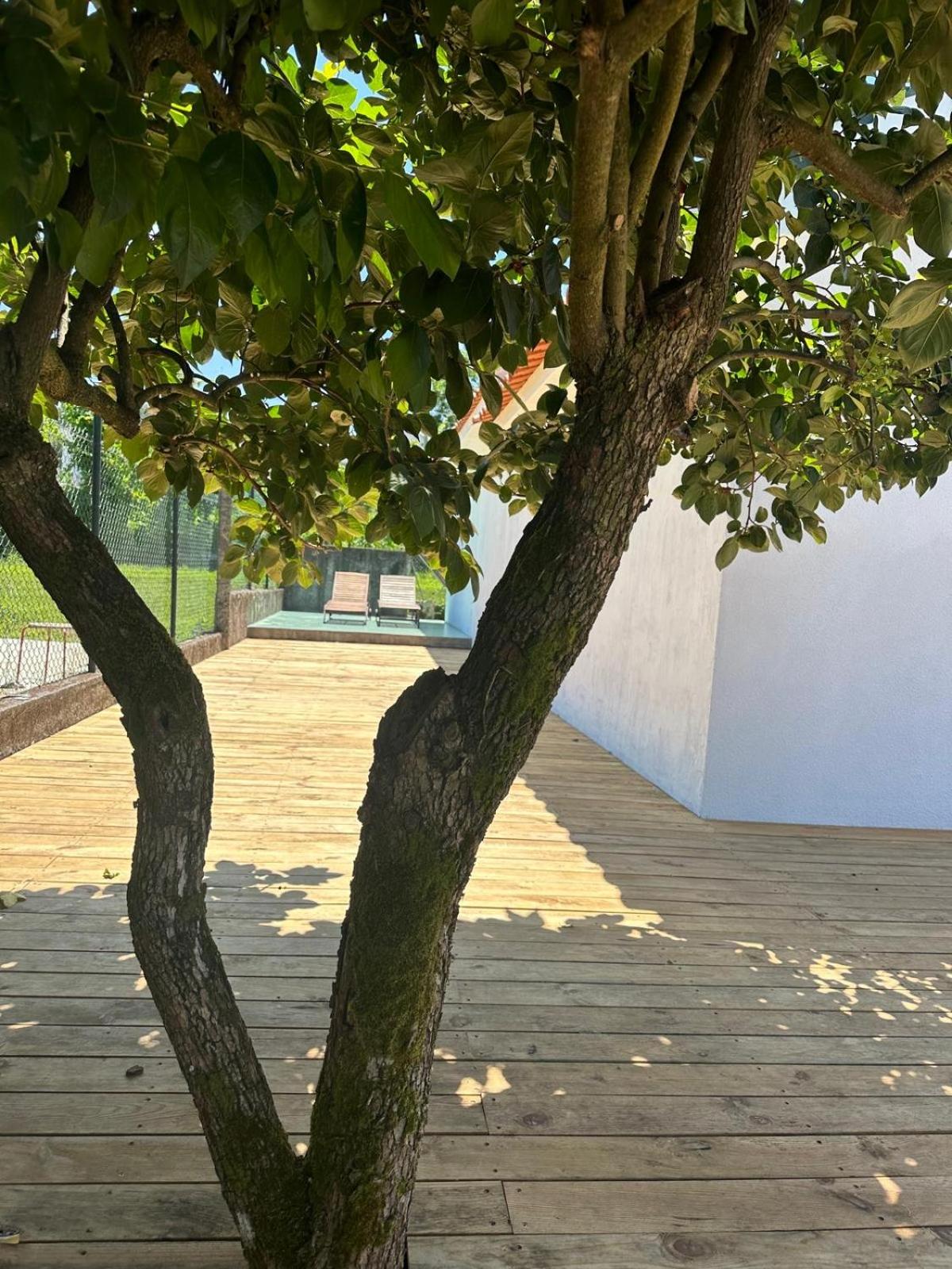 Souto Guimarães Country House
