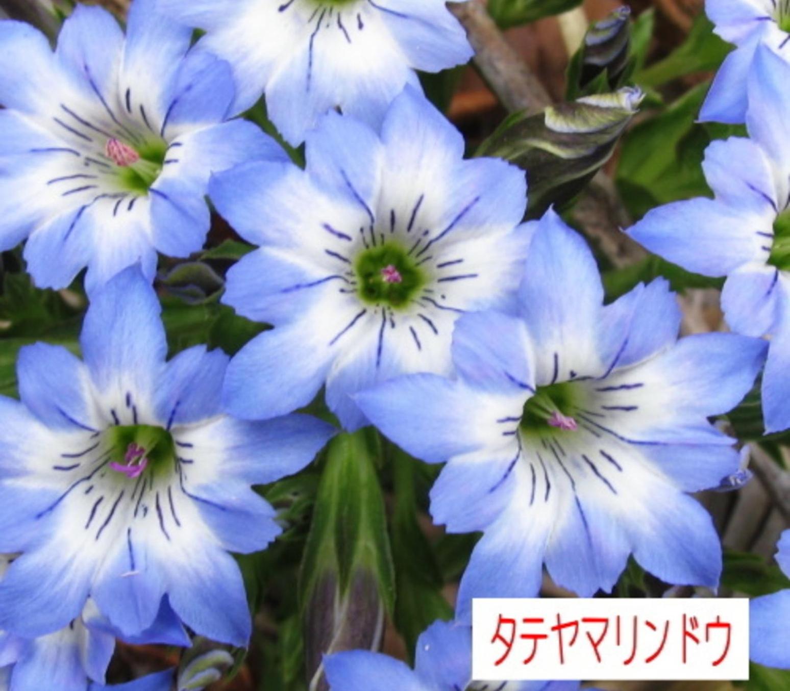 Hotel Yunomoto