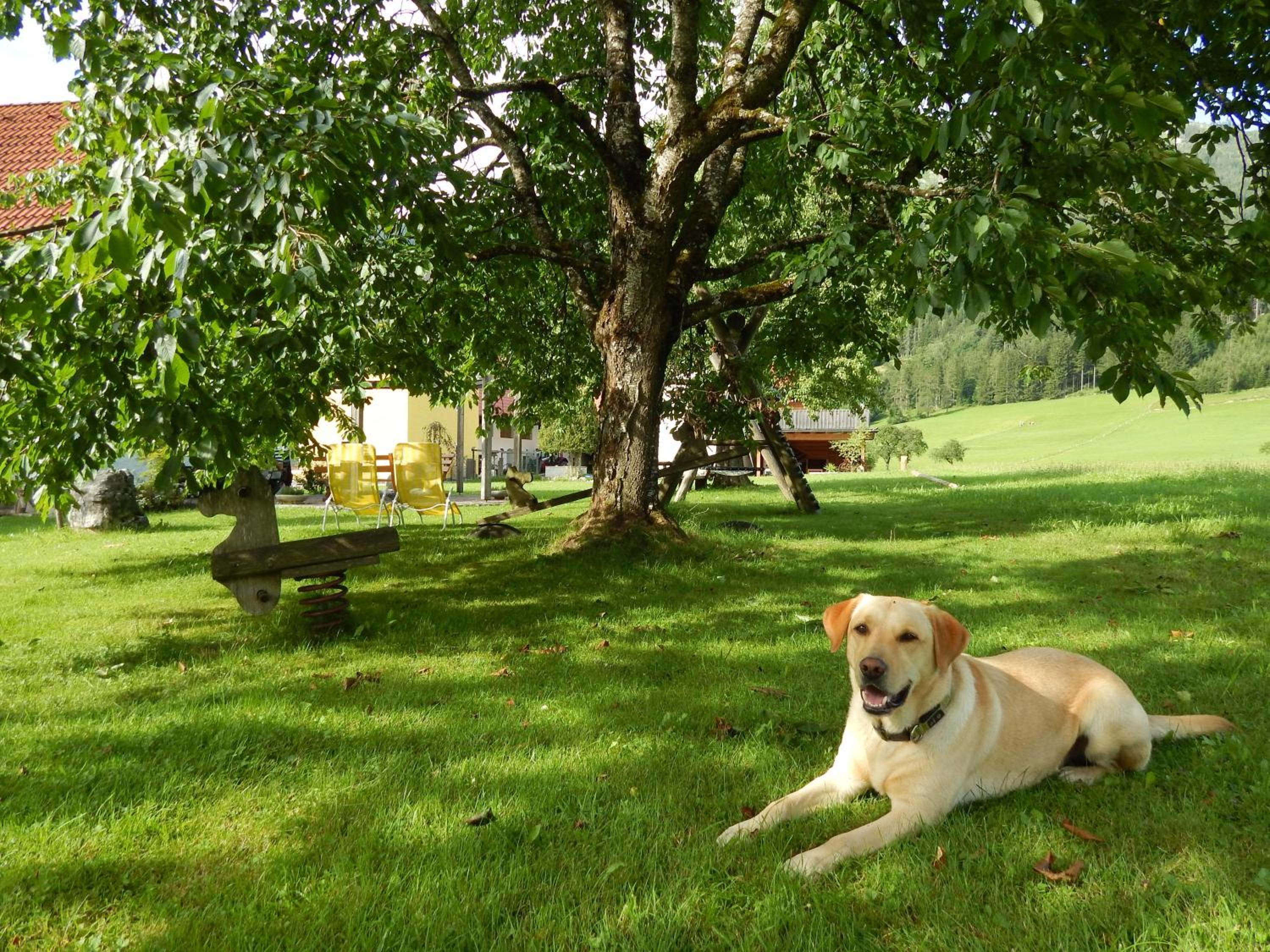 Peterhof – komm als Gast & geh als Freund