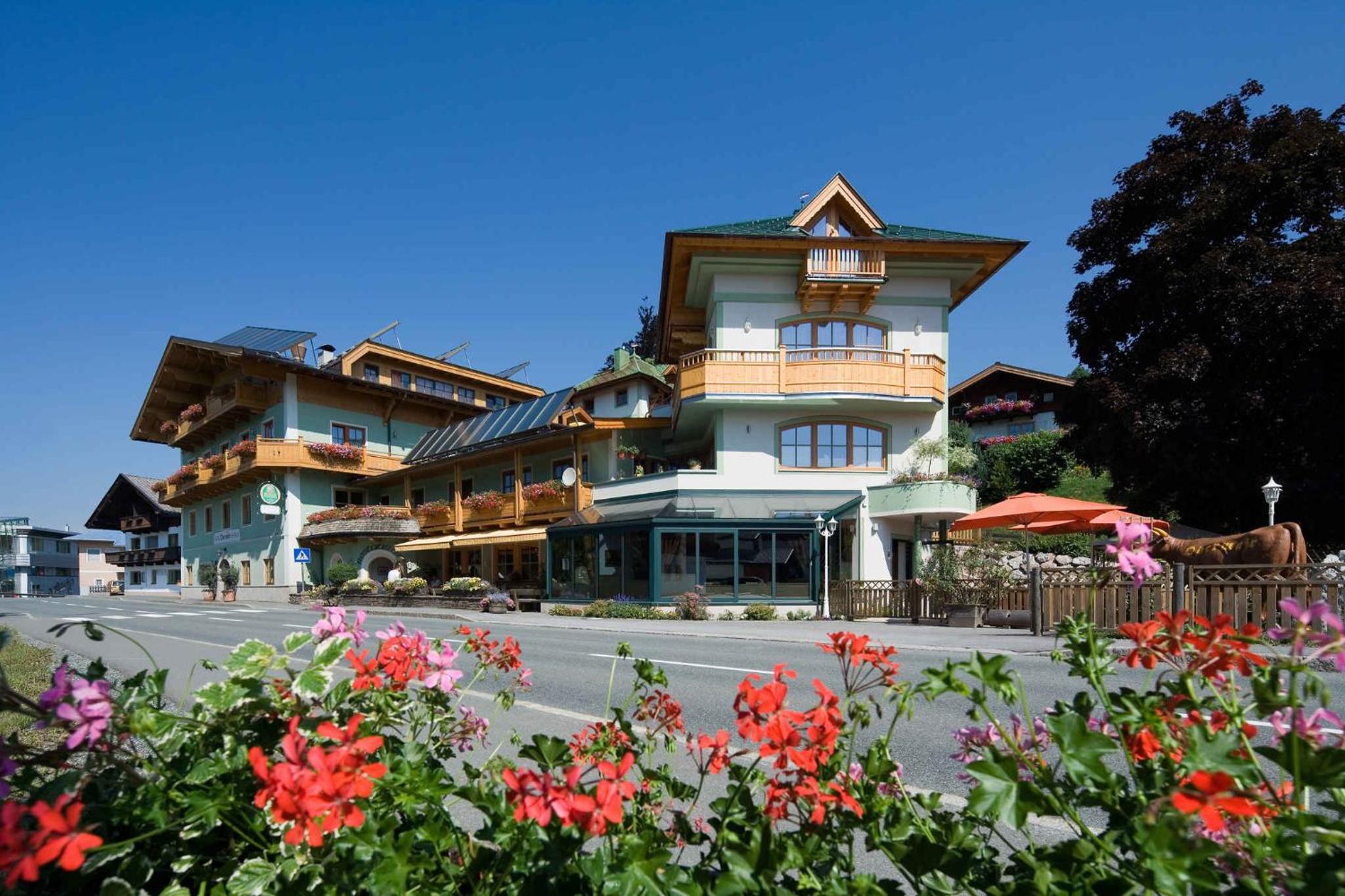 Apartments in Fieberbrunn 41142
