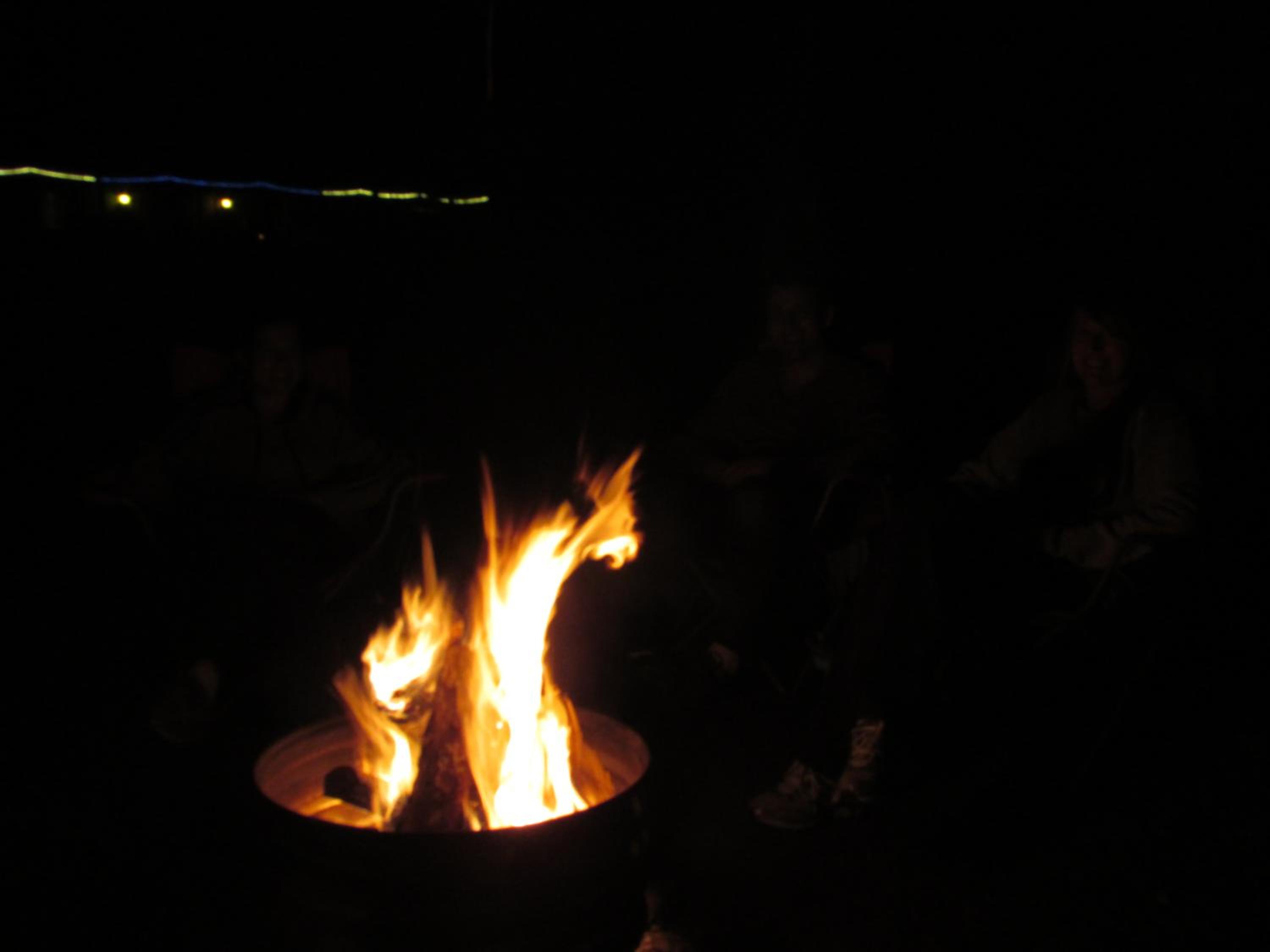 Best Bear Lodge - Property Image 38