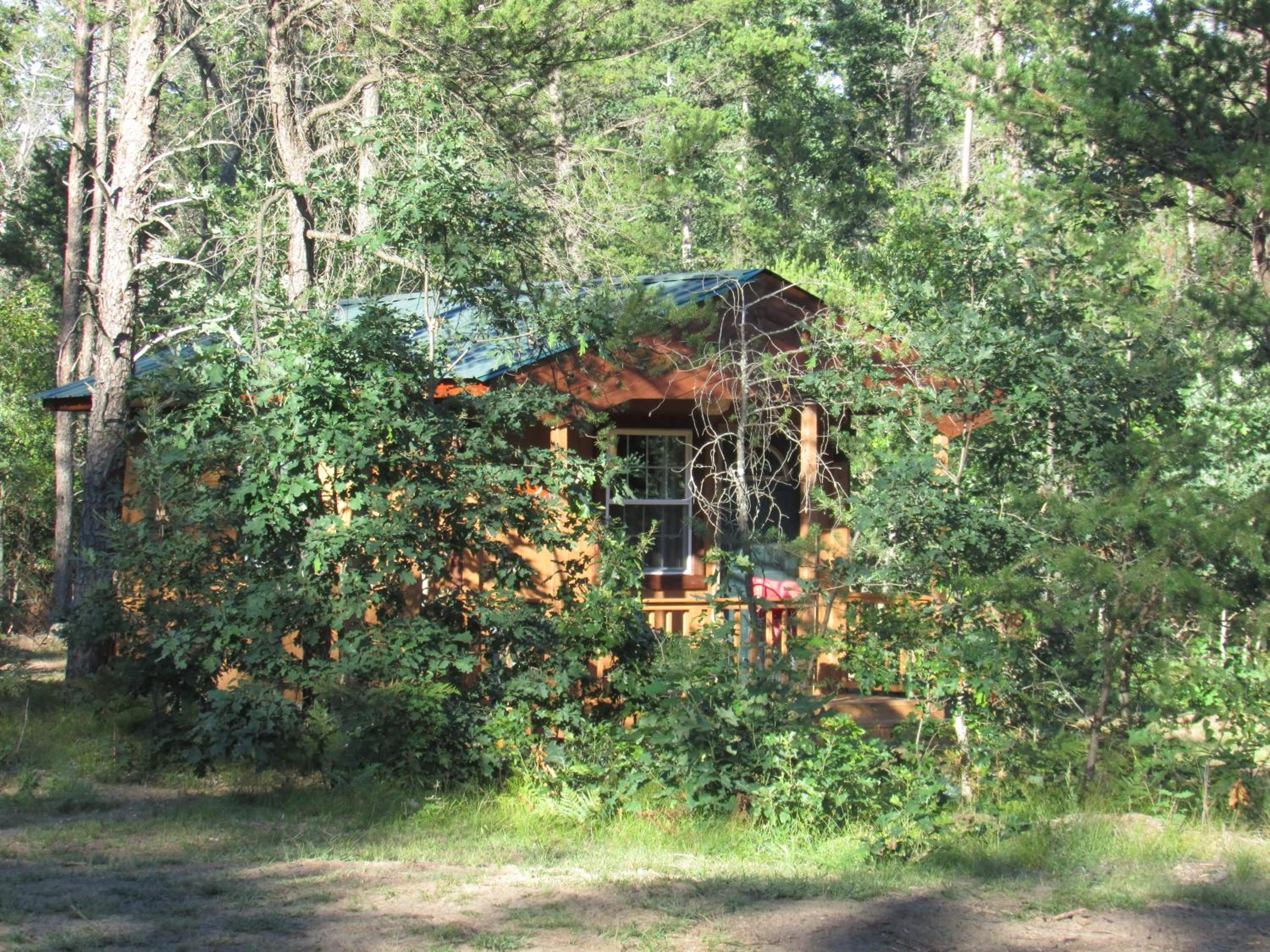 Best Bear Lodge - Property Image 3