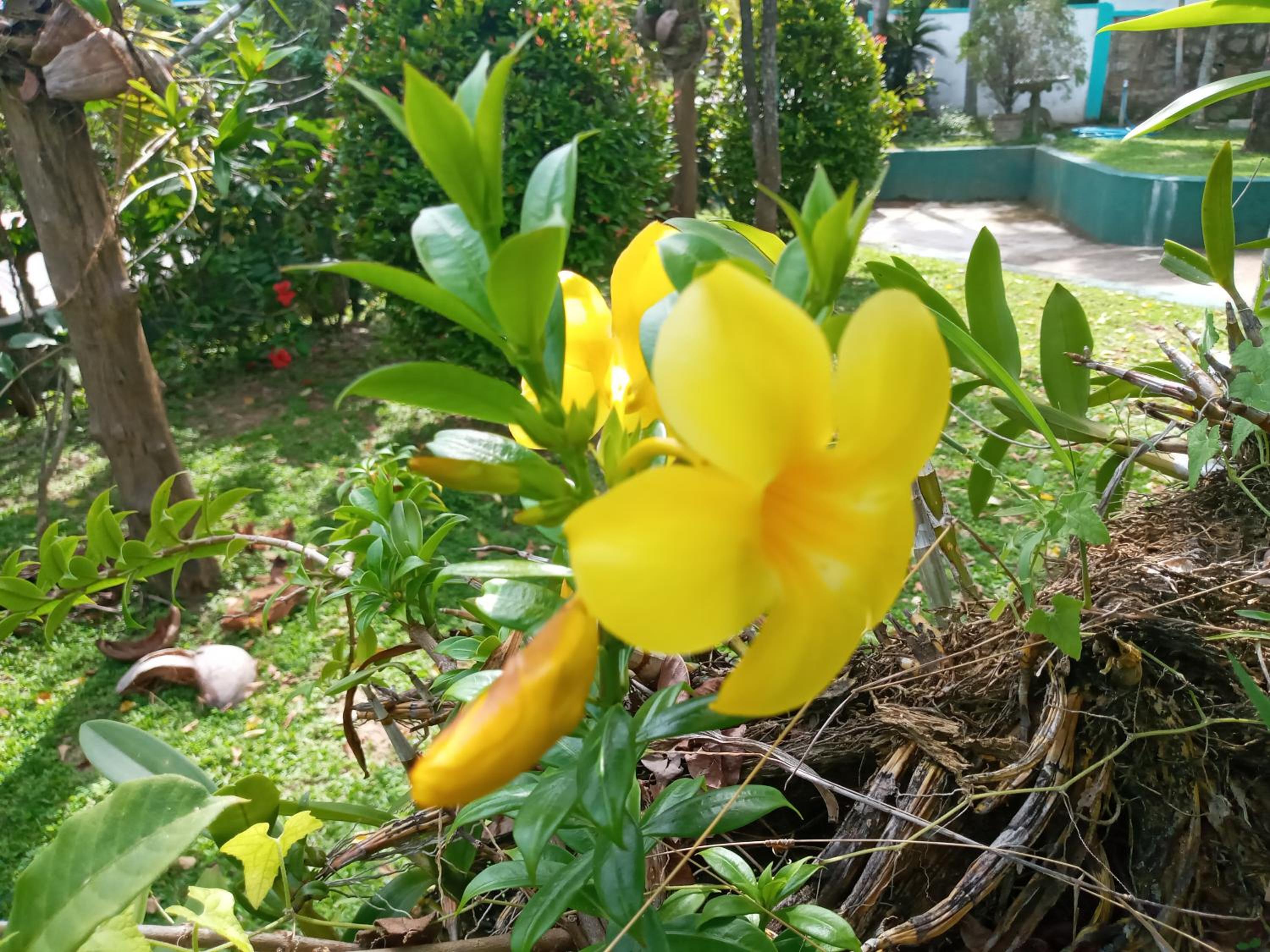 Photo 35