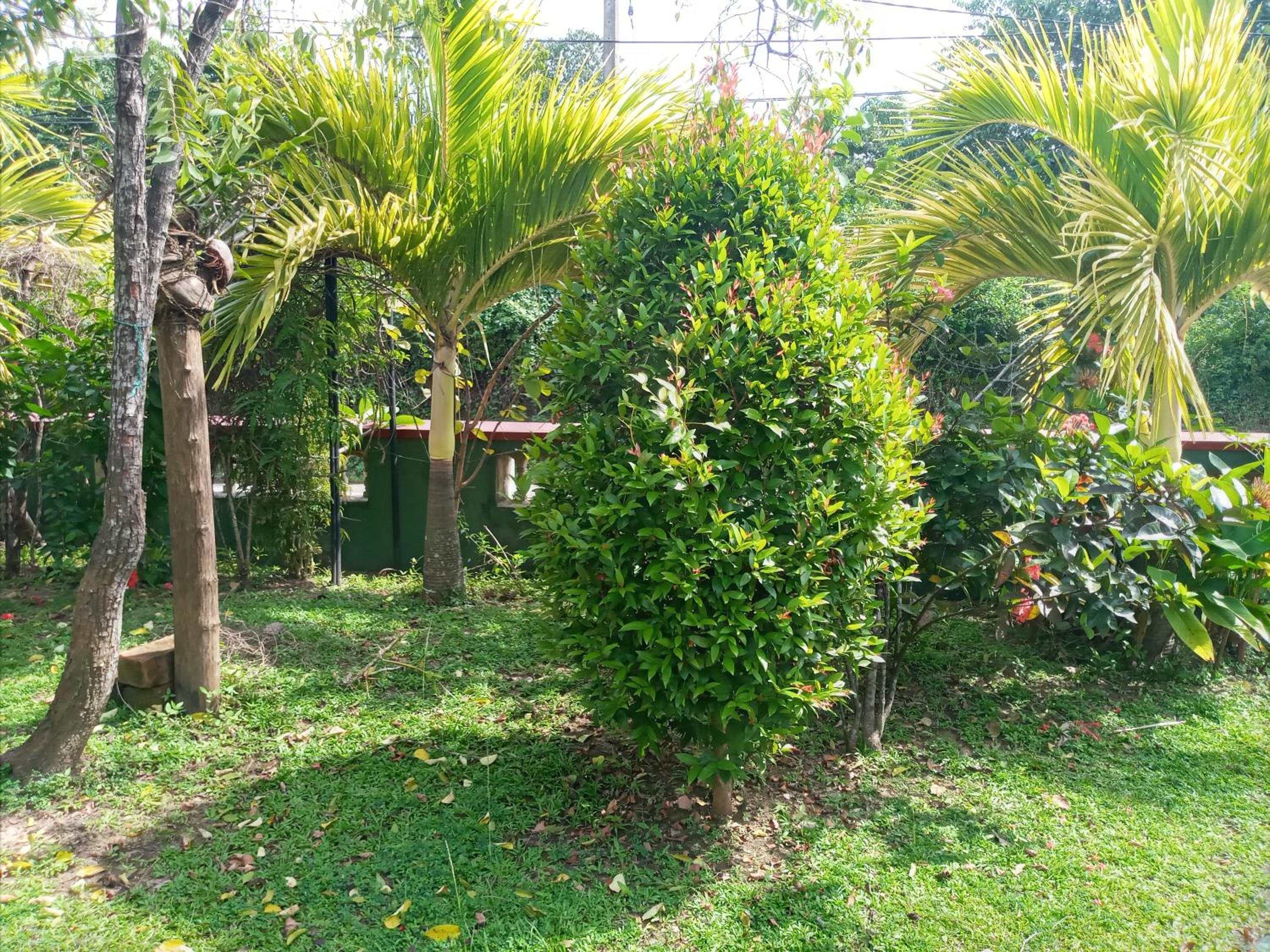 Photo 40