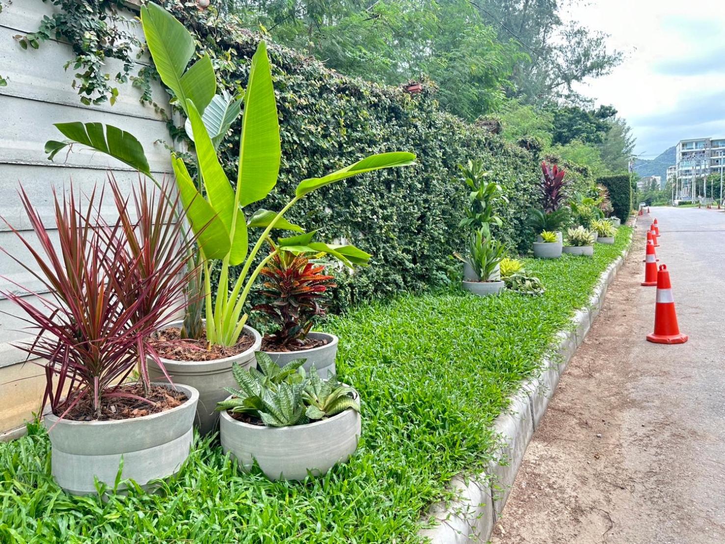 The Bihai Hua Hin