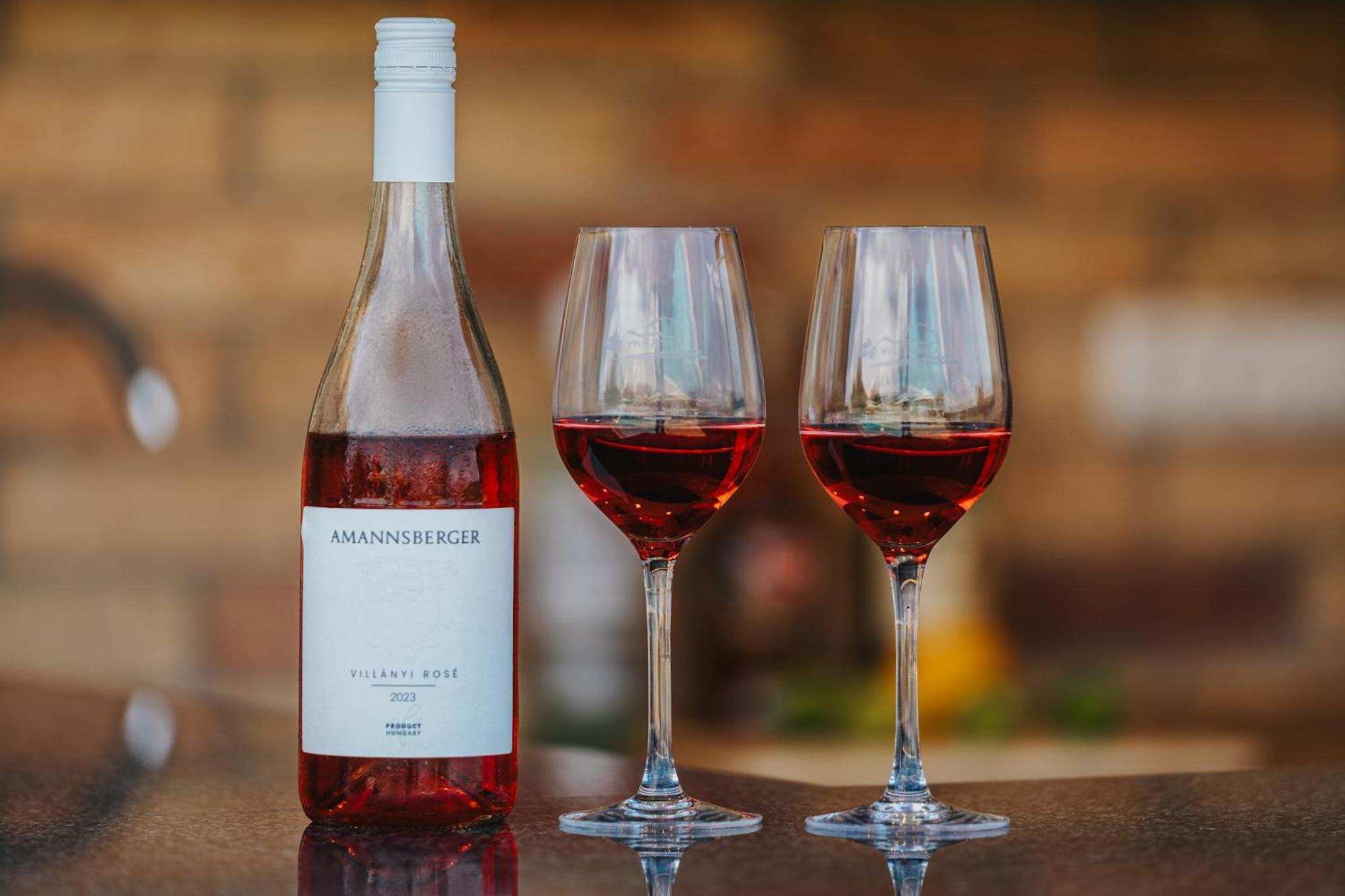 Amannsberger WineYardLodge