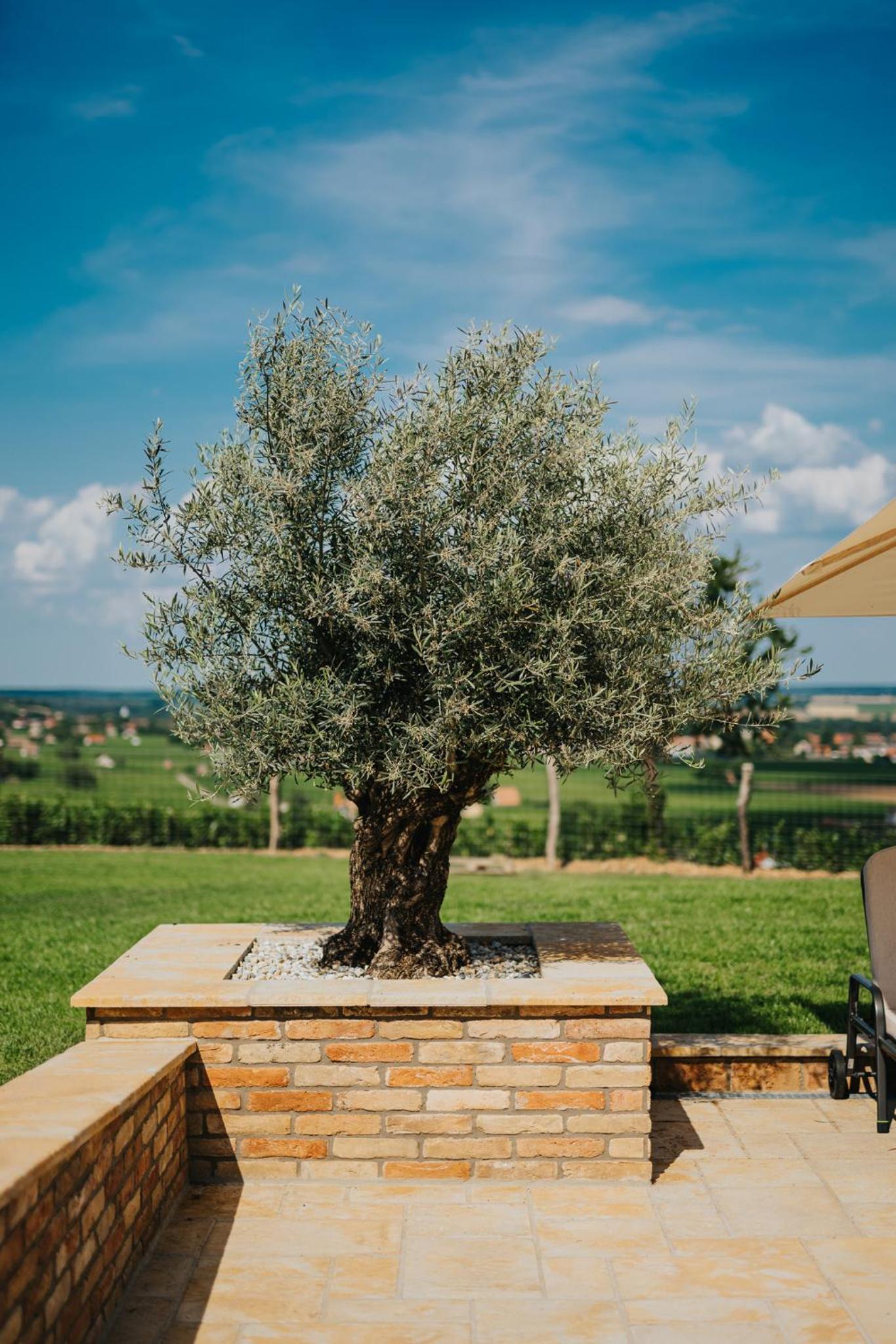 Amannsberger WineYardLodge