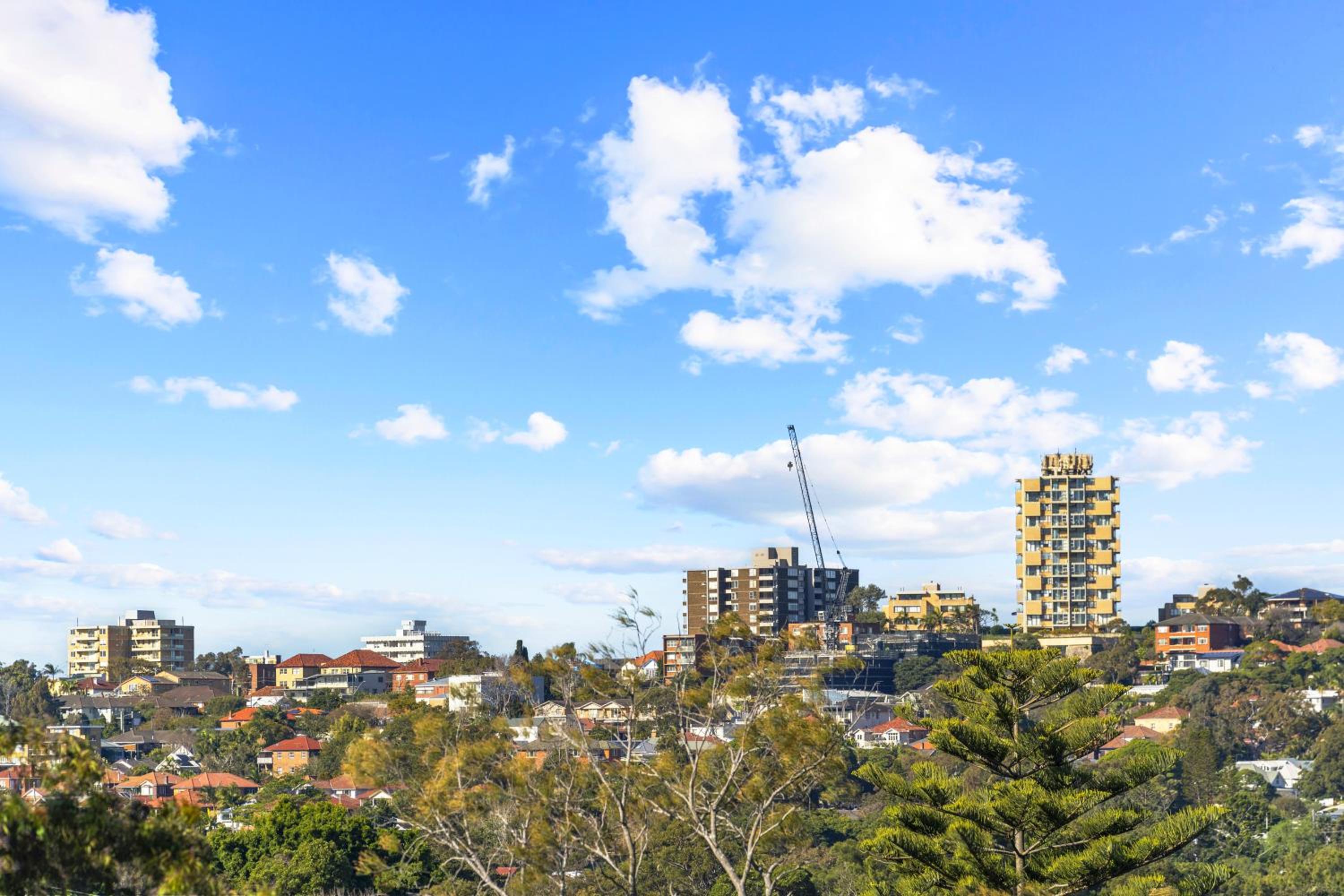 Lovely apartment in Manly Vale