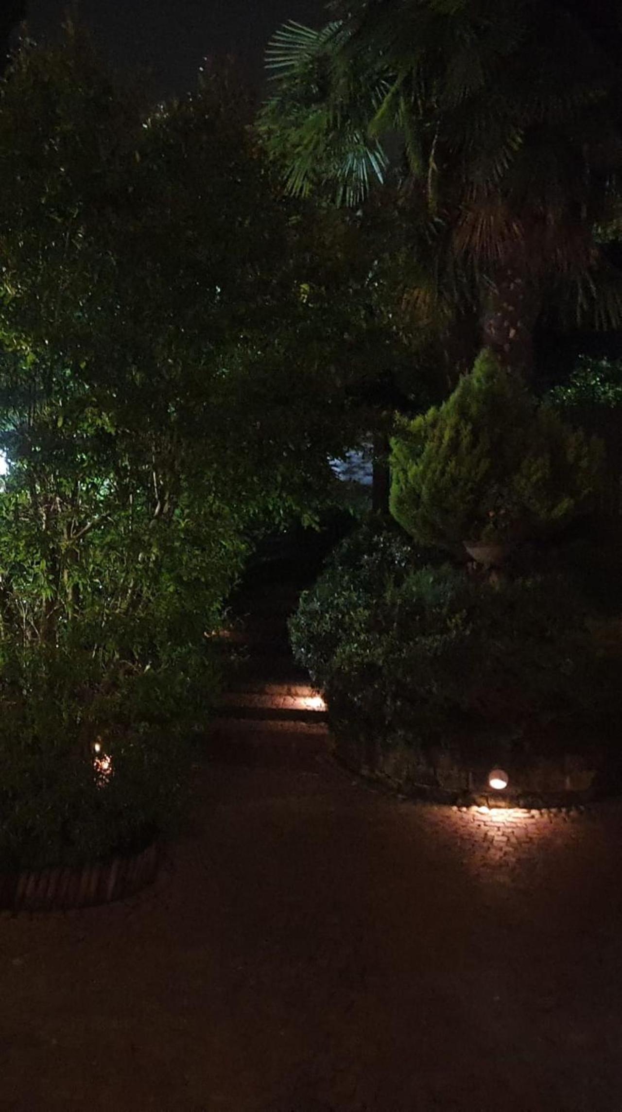 ROSE'S GARDEN - zona tranquilla - vicino Torino view 3