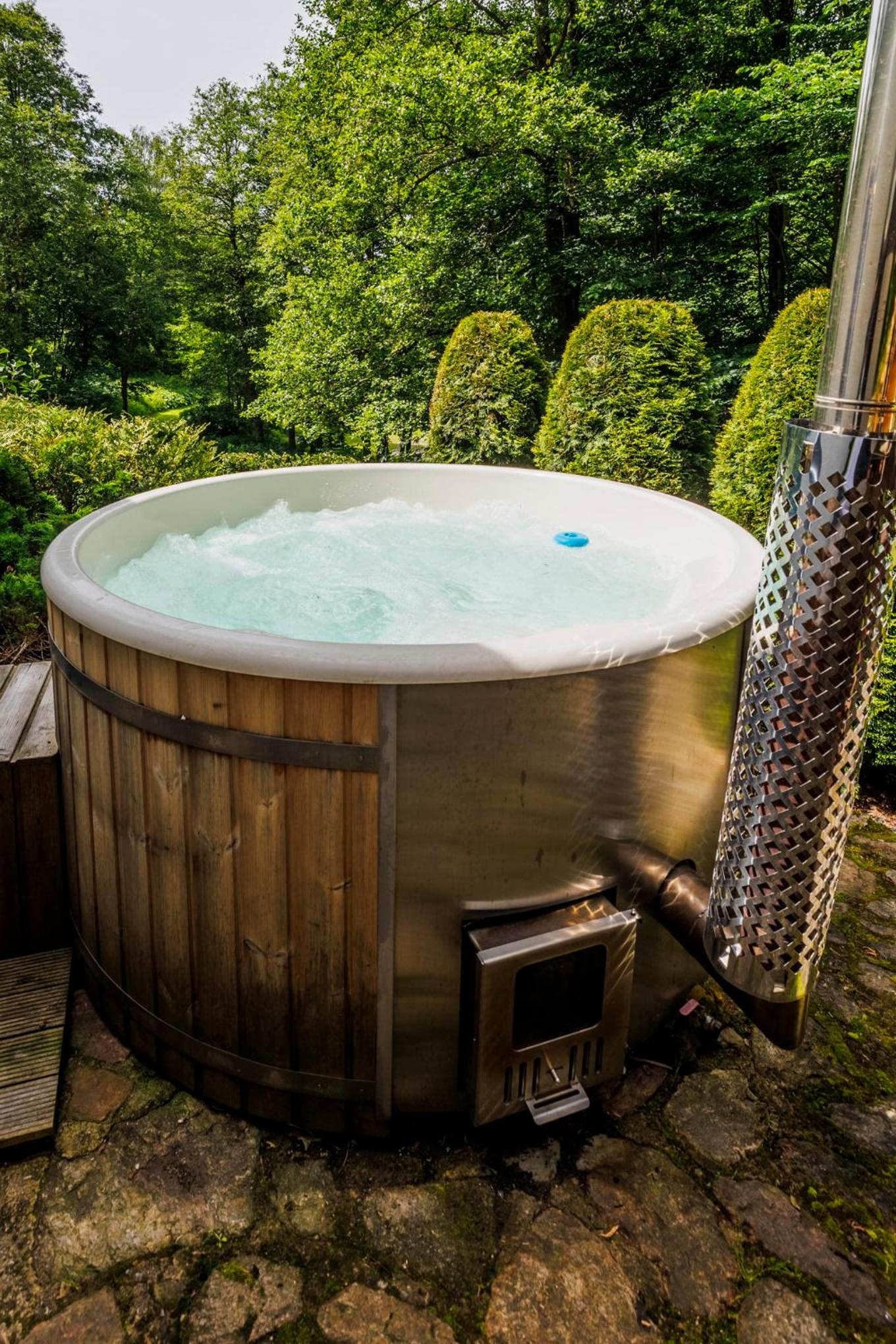 Chalet Horní Orlice view 2