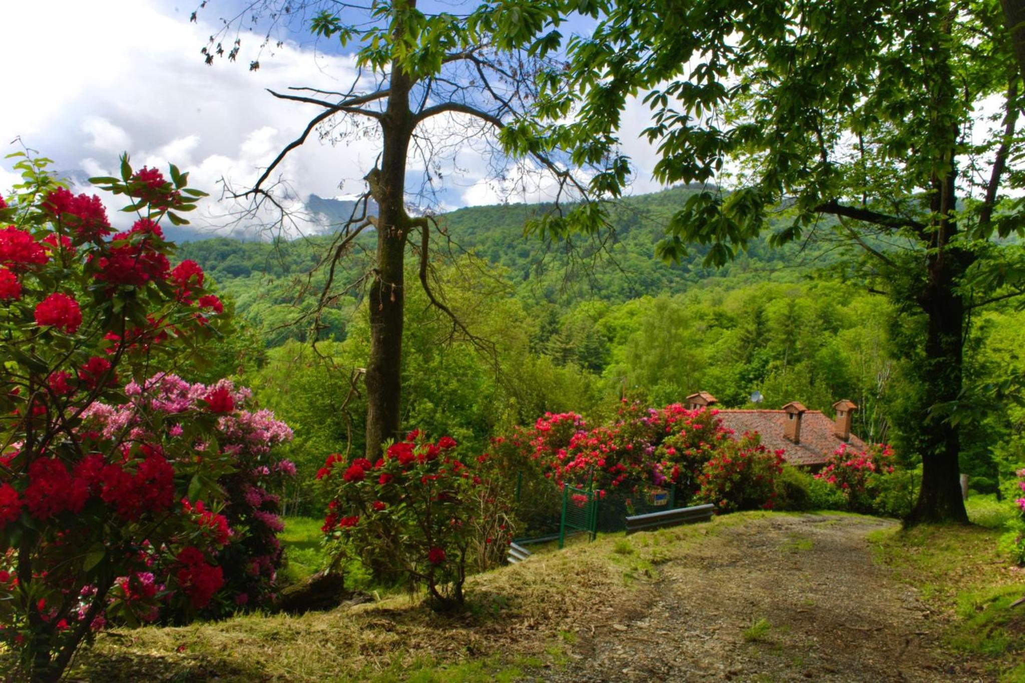 CascinaMirta