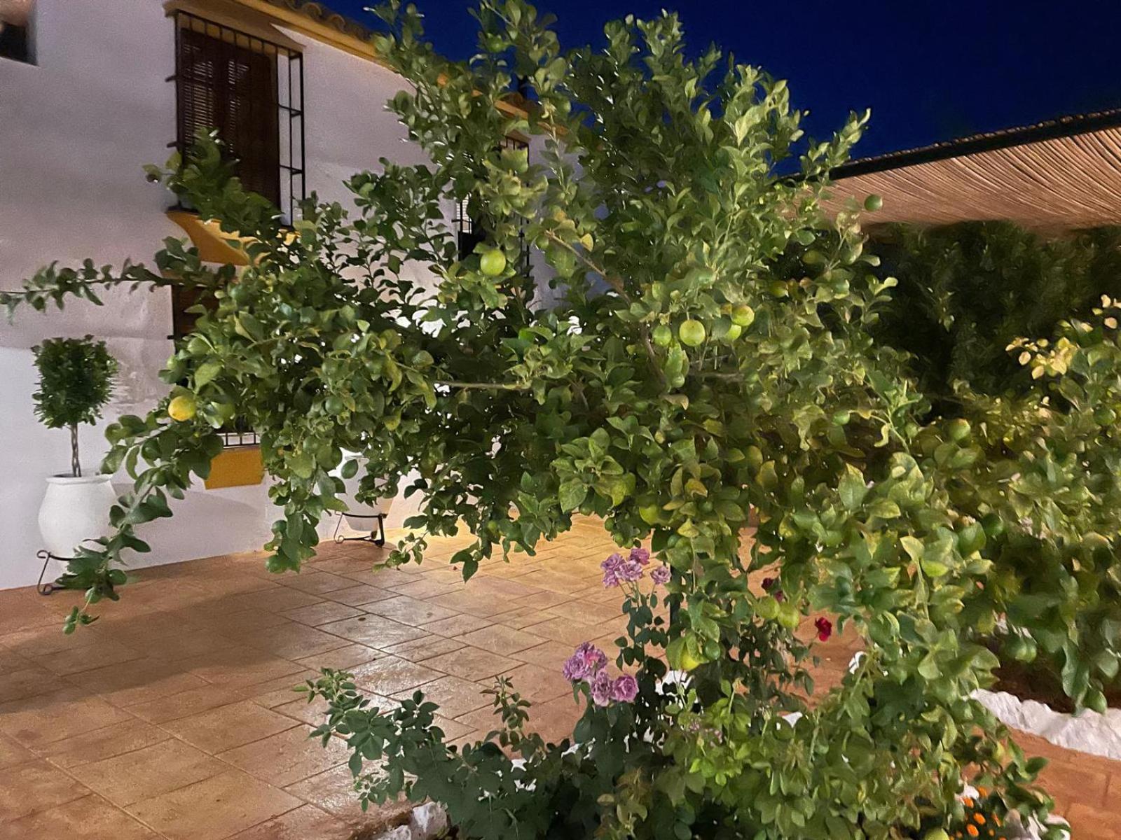Cortijo La Cañada