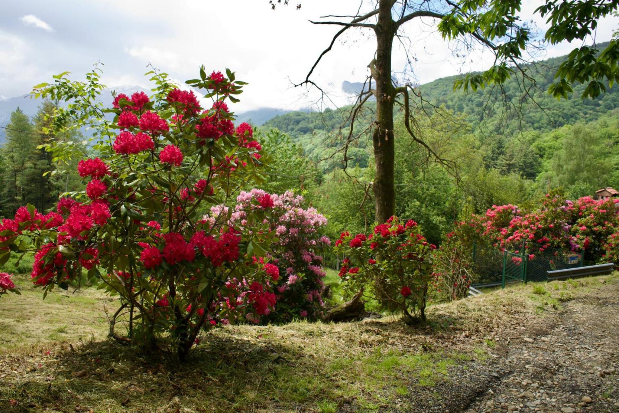 CascinaMirta