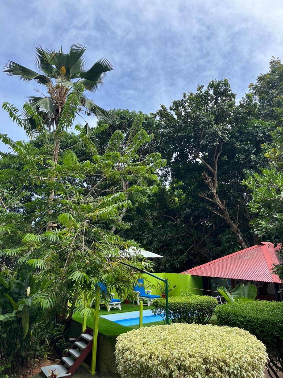 Belle Des Iles photo 3