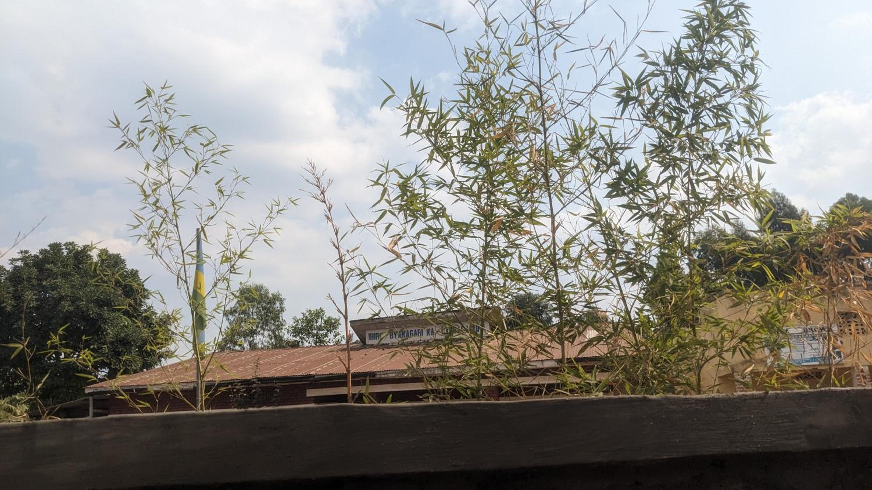 Garden Gorilla home view 5