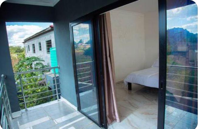 Exotic Mimosa view 5