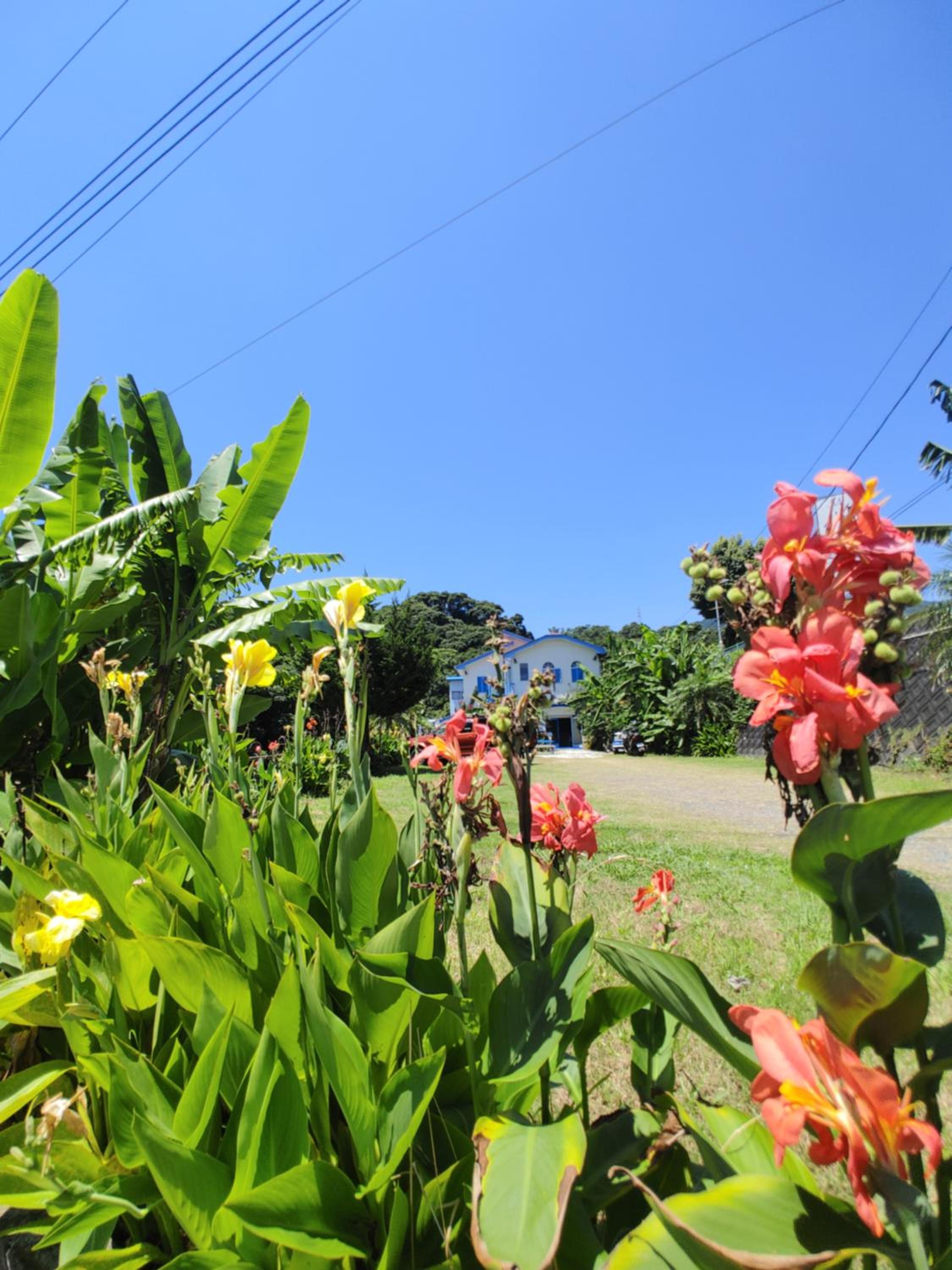 Guest House Churaumi