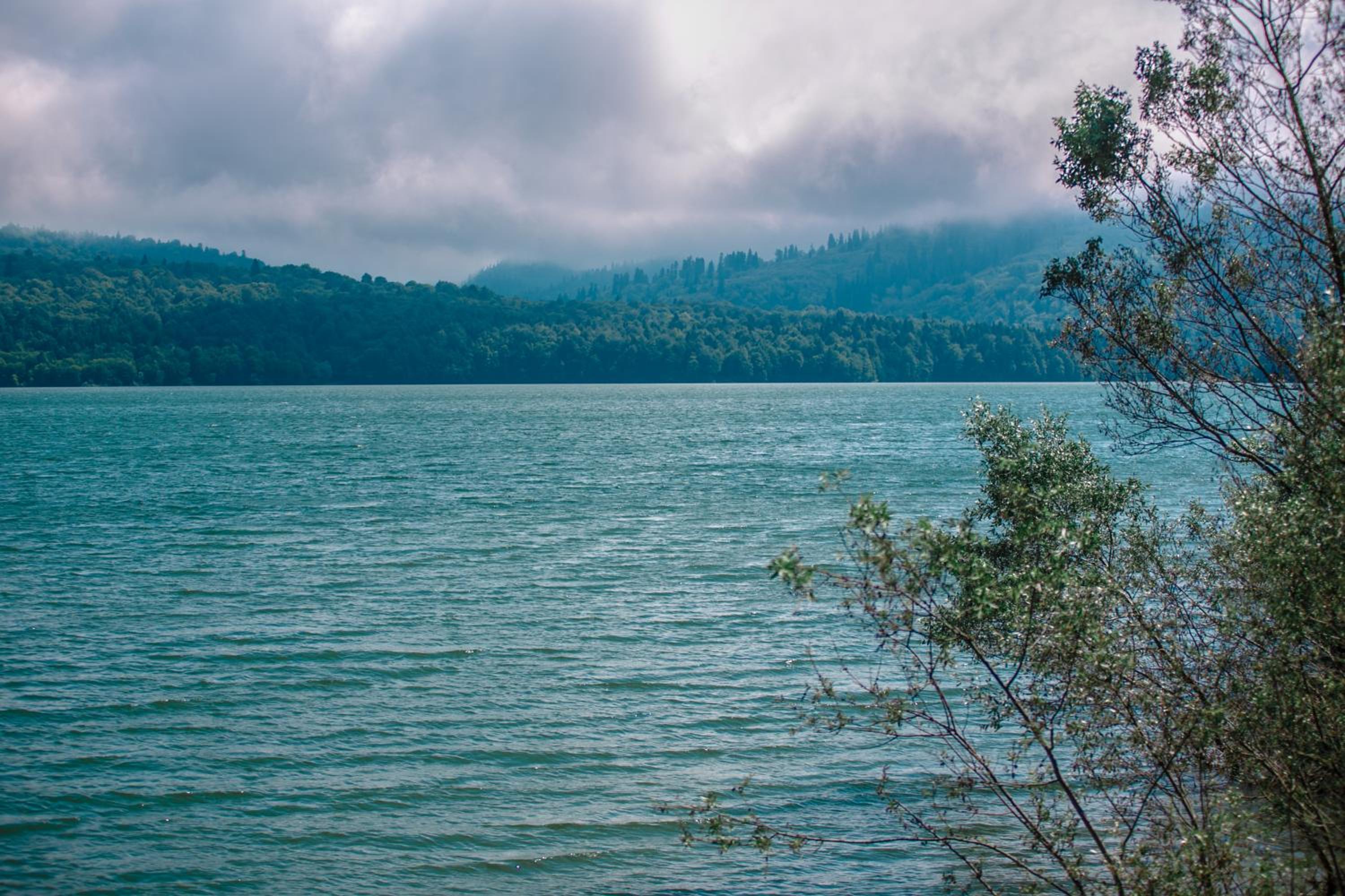 Shaori Lake Cottages