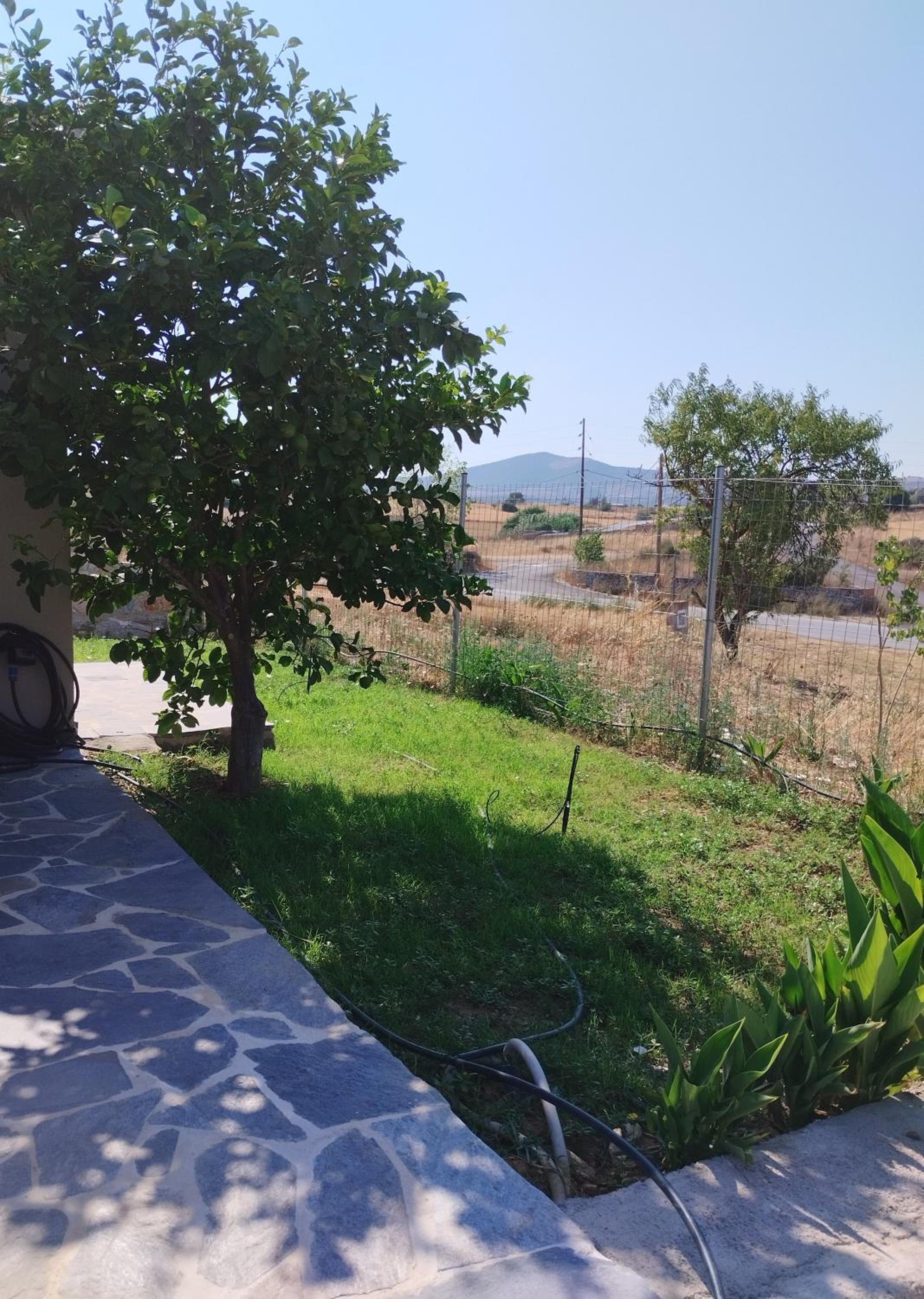 Reniza House