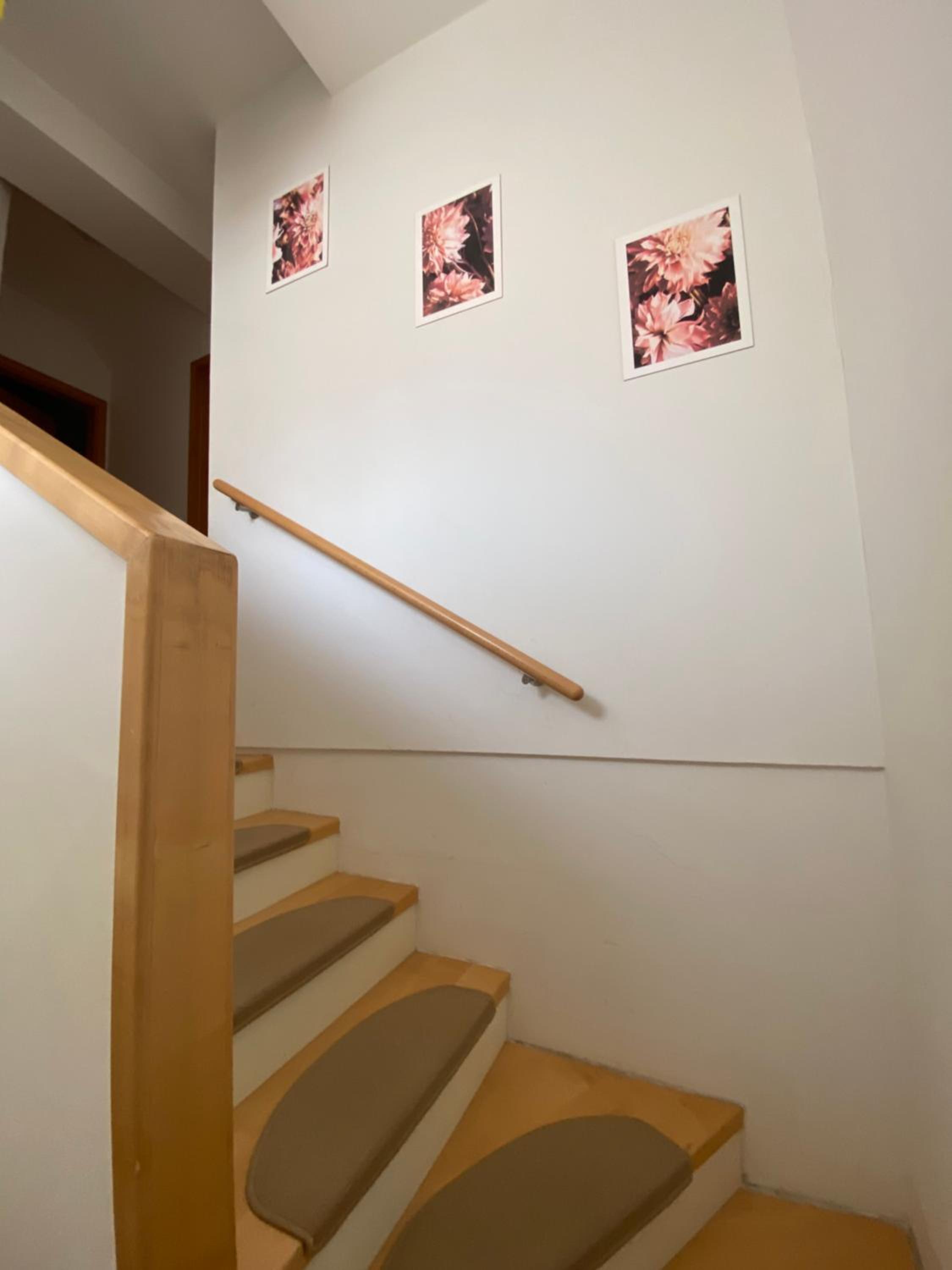 Apartment HB Moravske Toplice