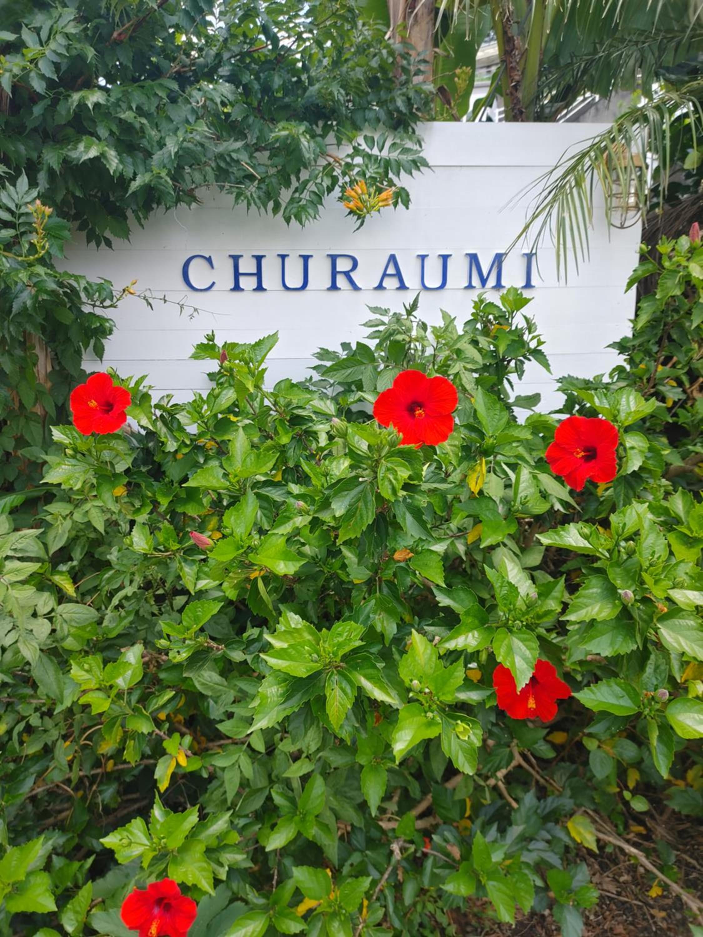 Guest House Churaumi