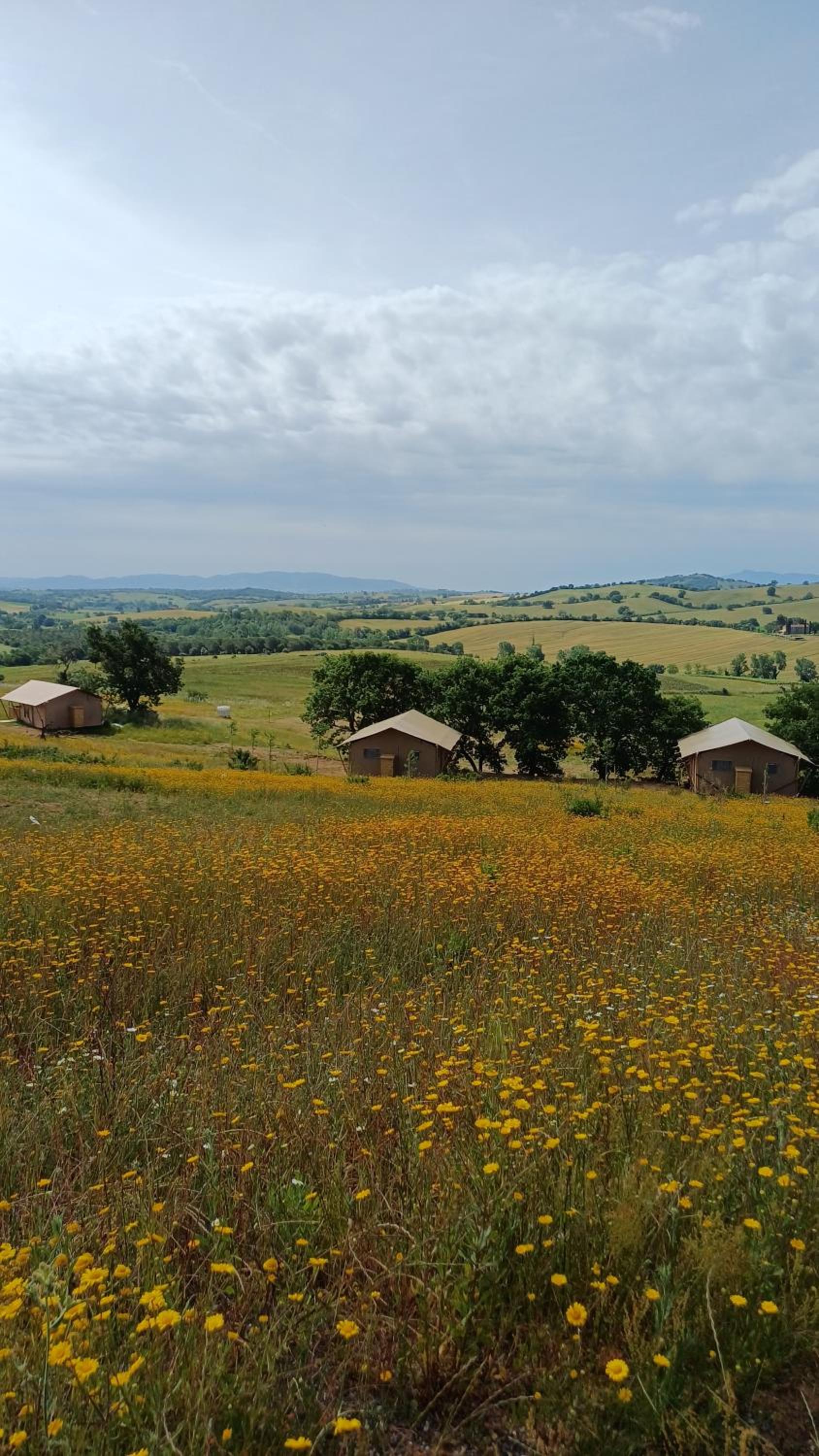 Glamping Podere Angiotto LODGE LAVANDA view 4