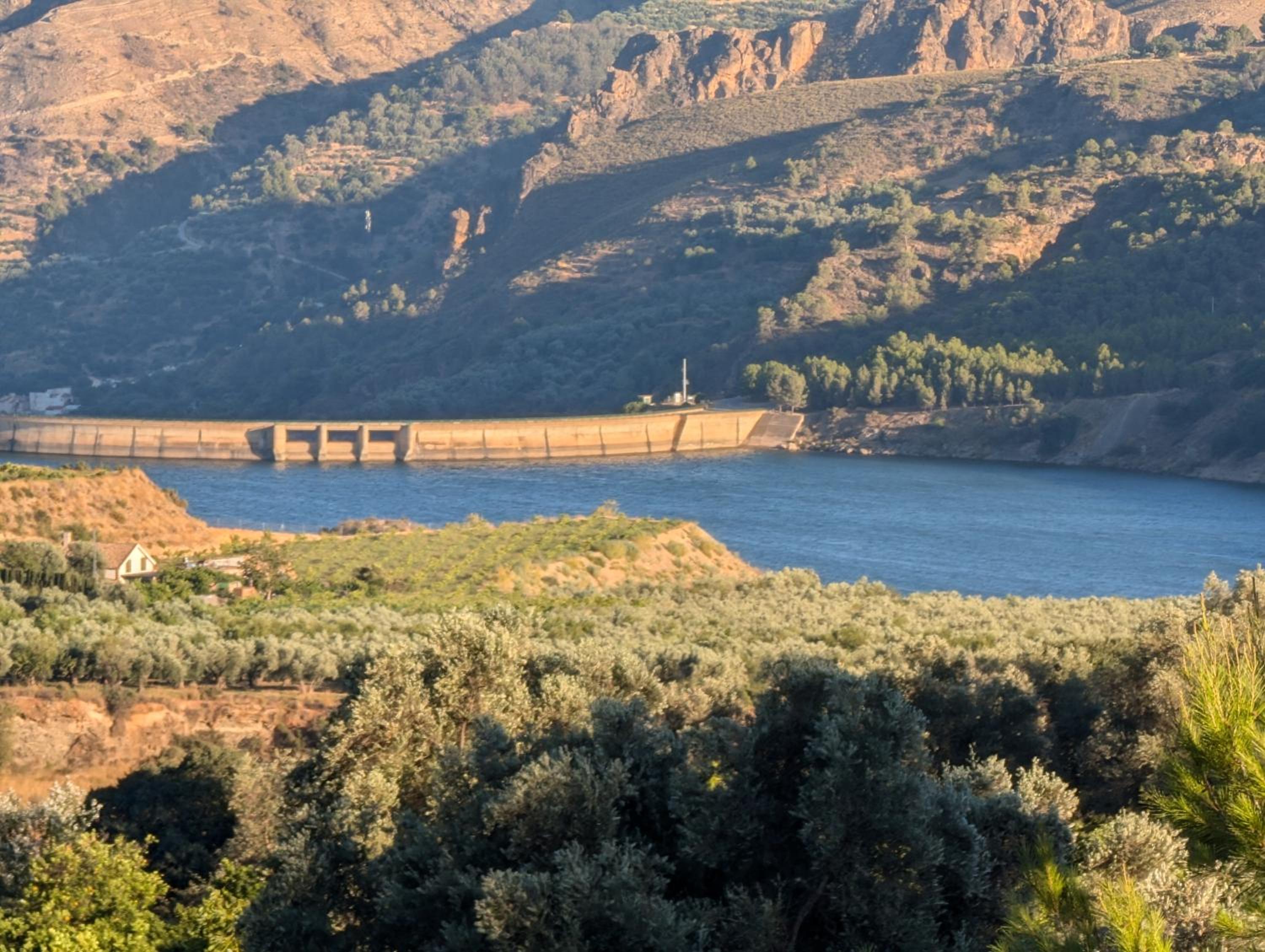 El Paraíso del Azahar