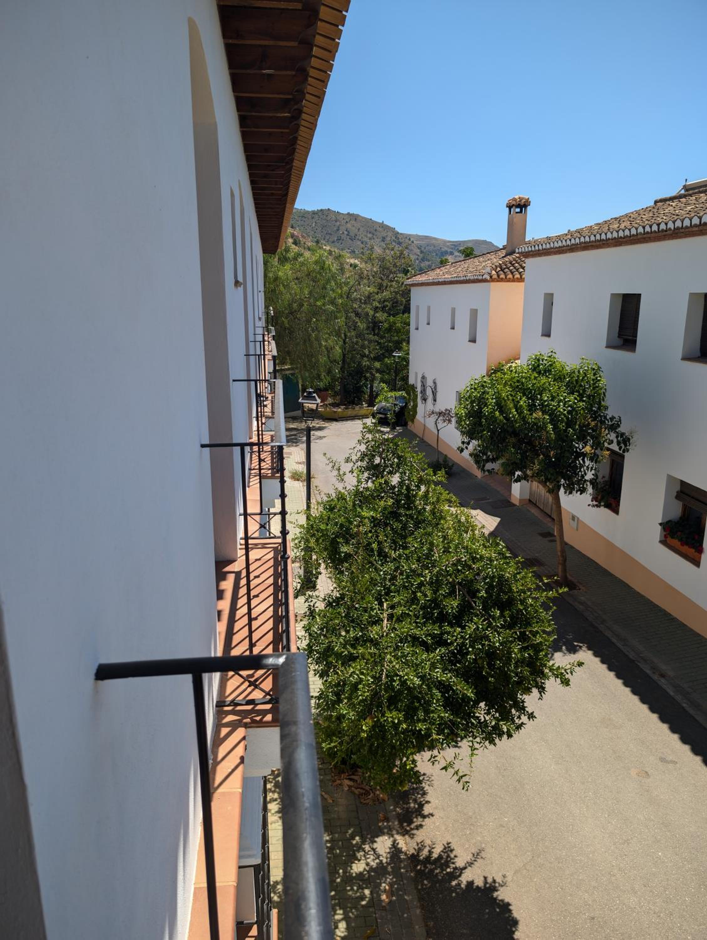 El Paraíso del Azahar