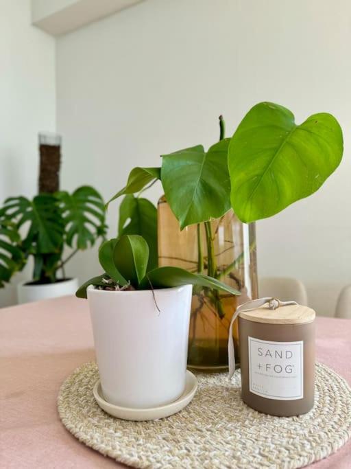 Departamento Aesthetic con terraza privada