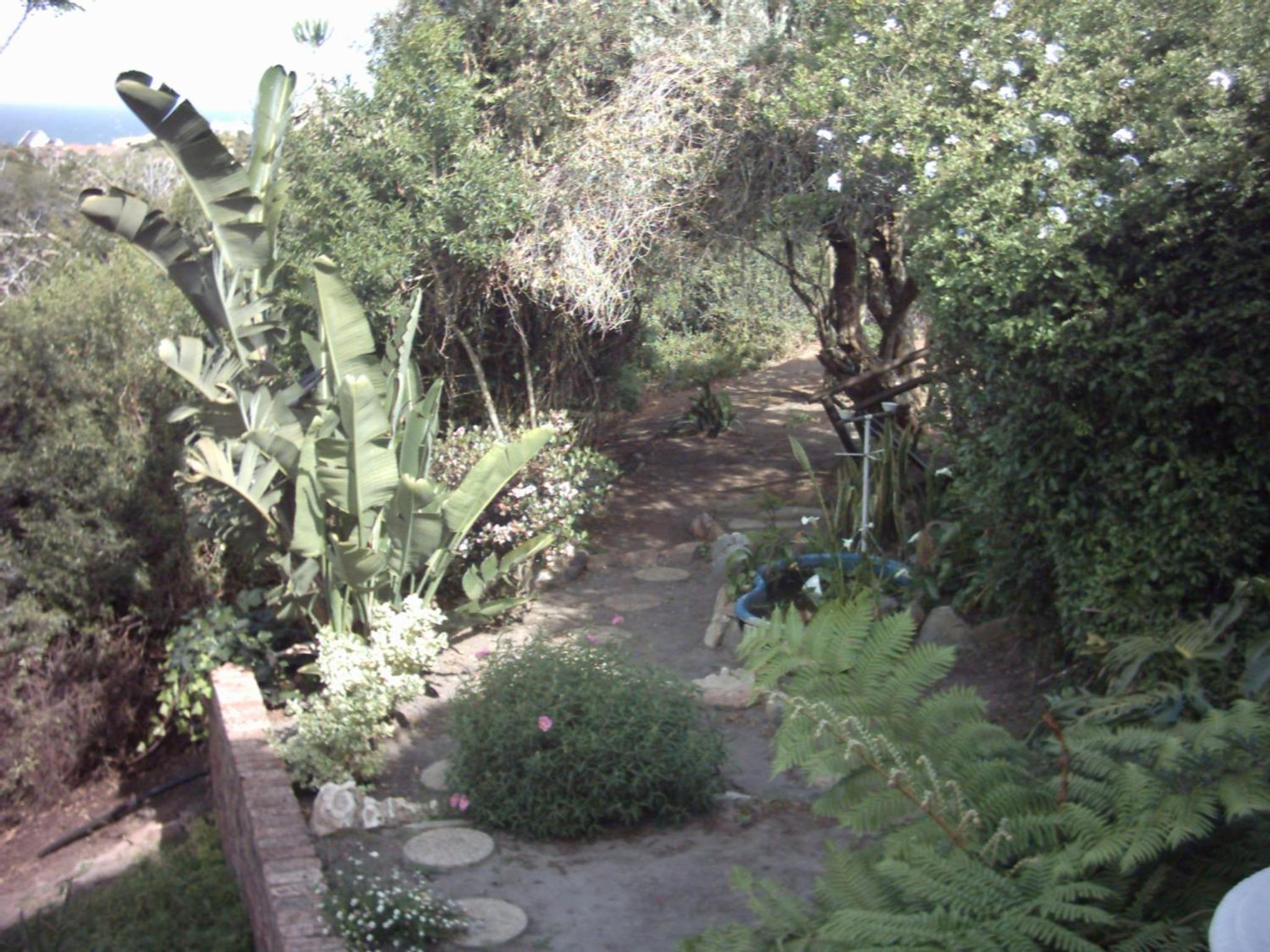 Dolphin View Guesthouse