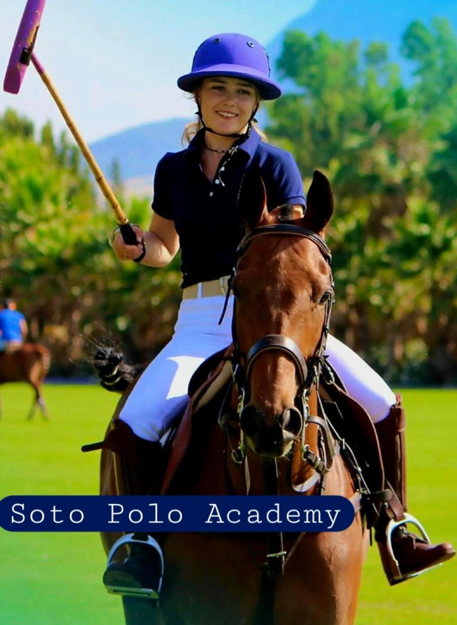 Soto Blues Sotogrande - Puerto Deportivo