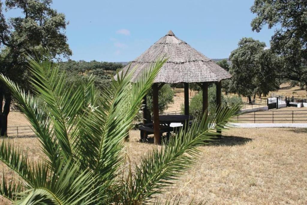 Finca Santa María