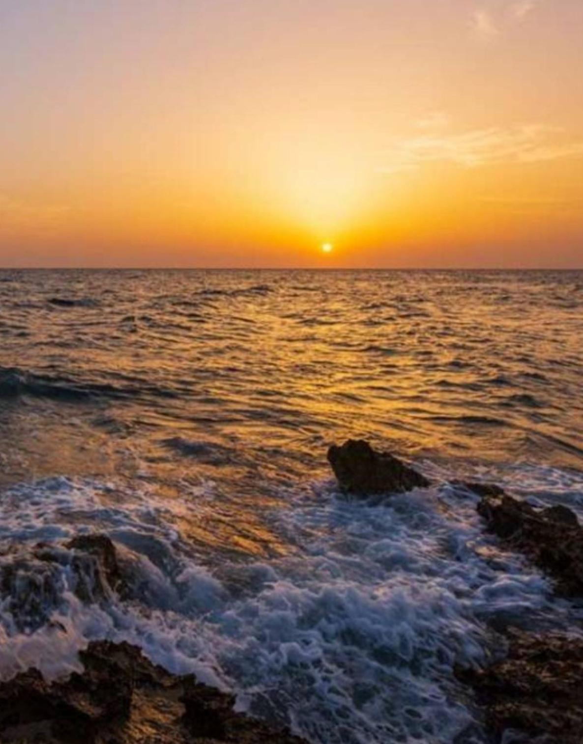 Casa Mirabilis 44