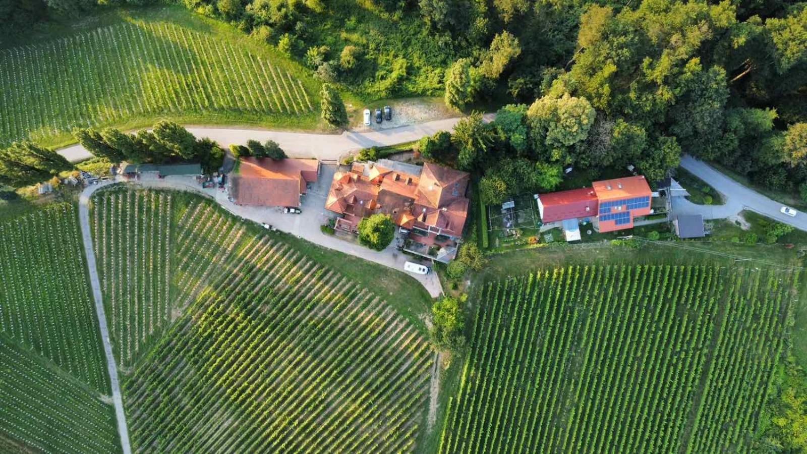 Herga Wine Estate - Nest above wine cellar - rooms view 4