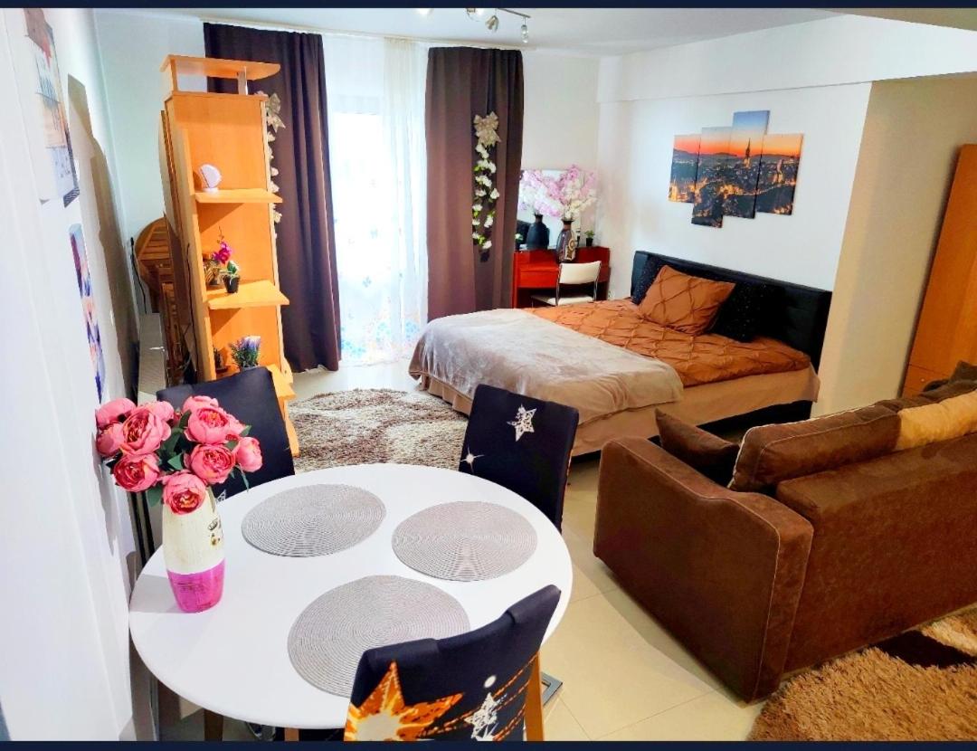 Studioul de Vis view 3