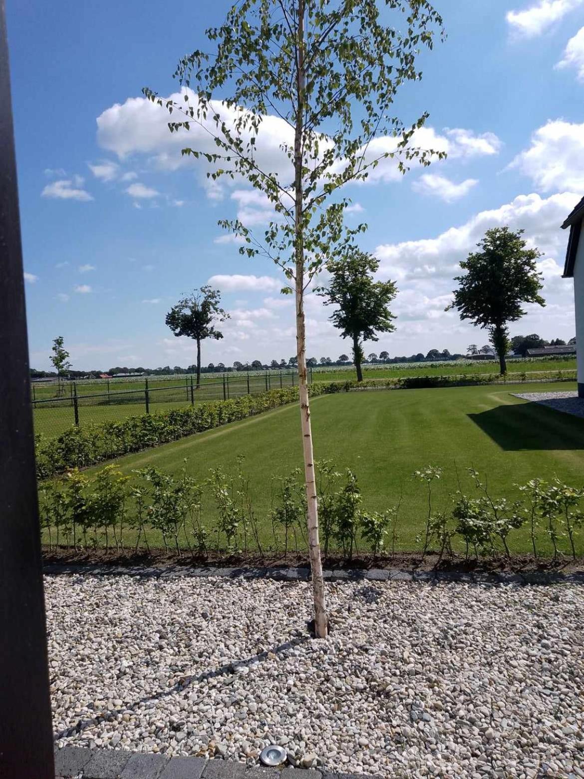 Ut witte huisje view 4