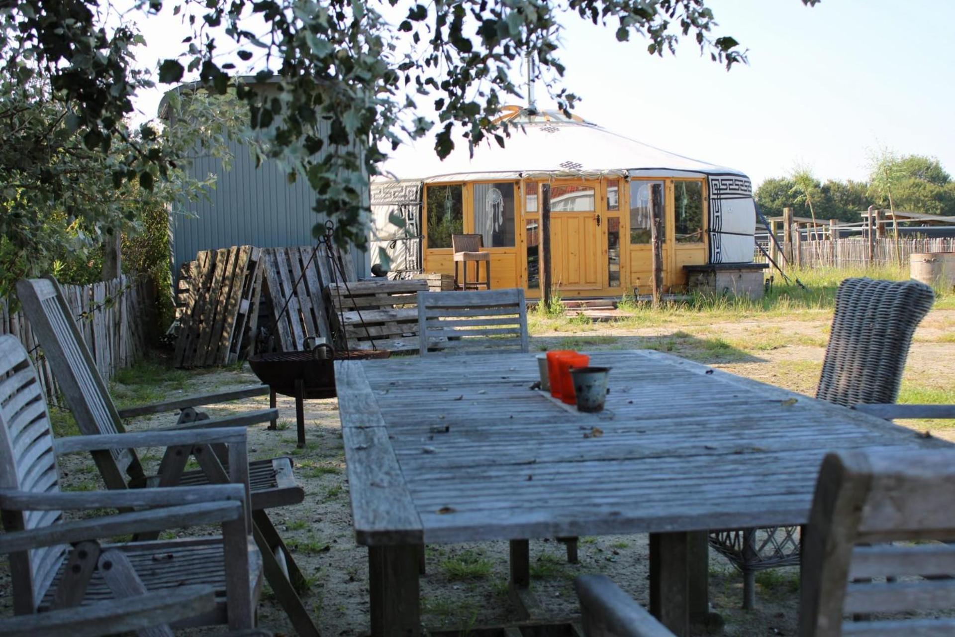 Photo 9