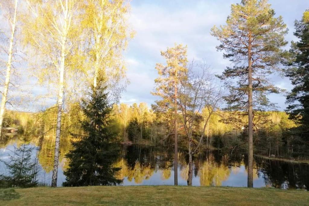 Photo 22