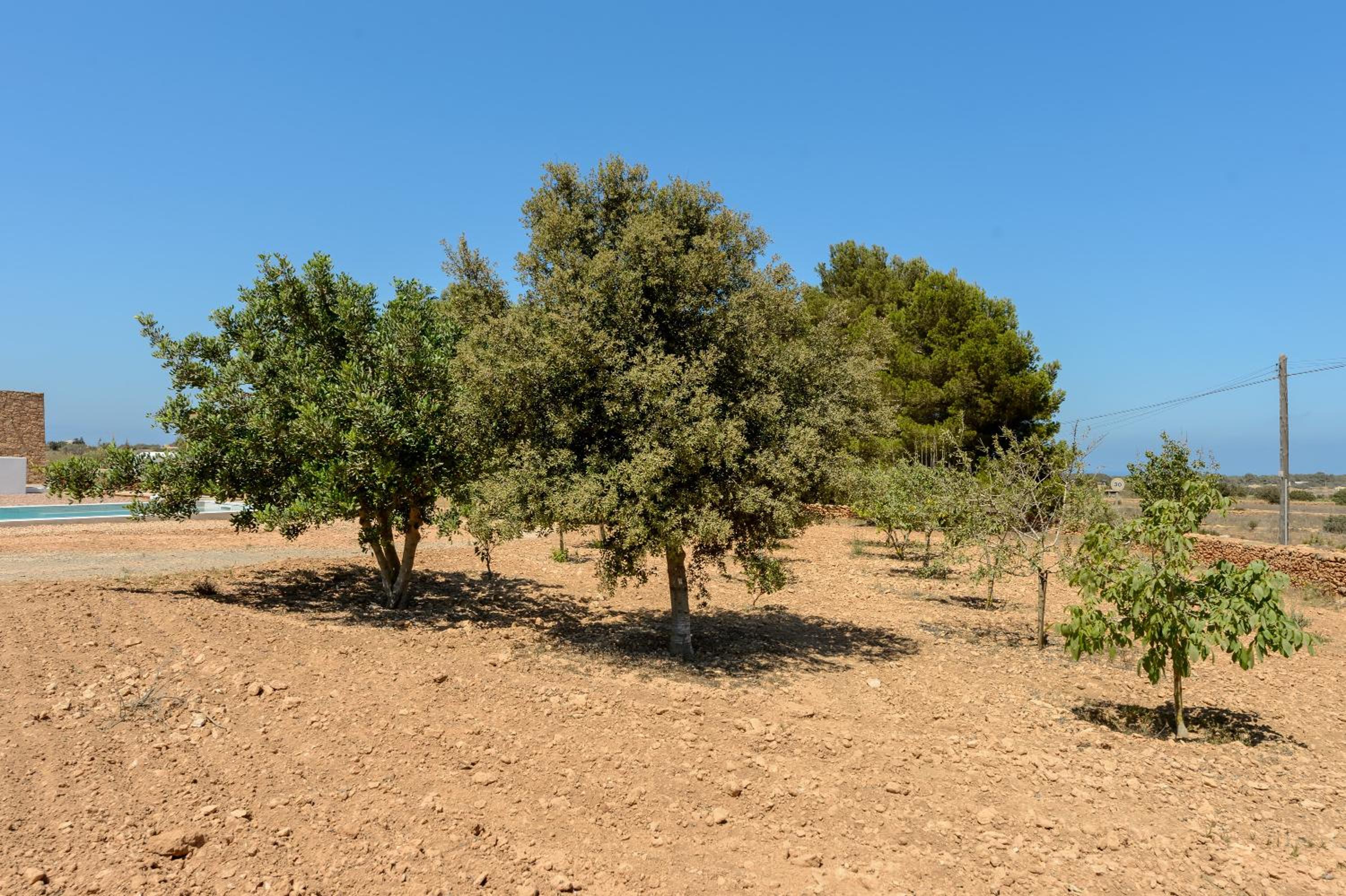 Casa S'Olibassa