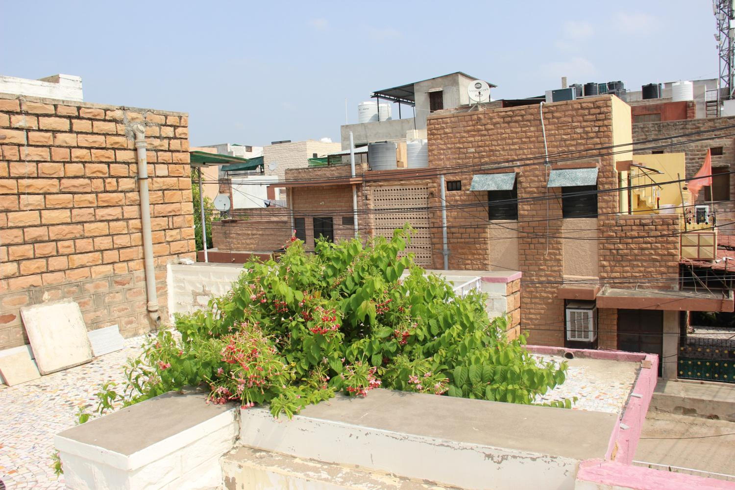roof