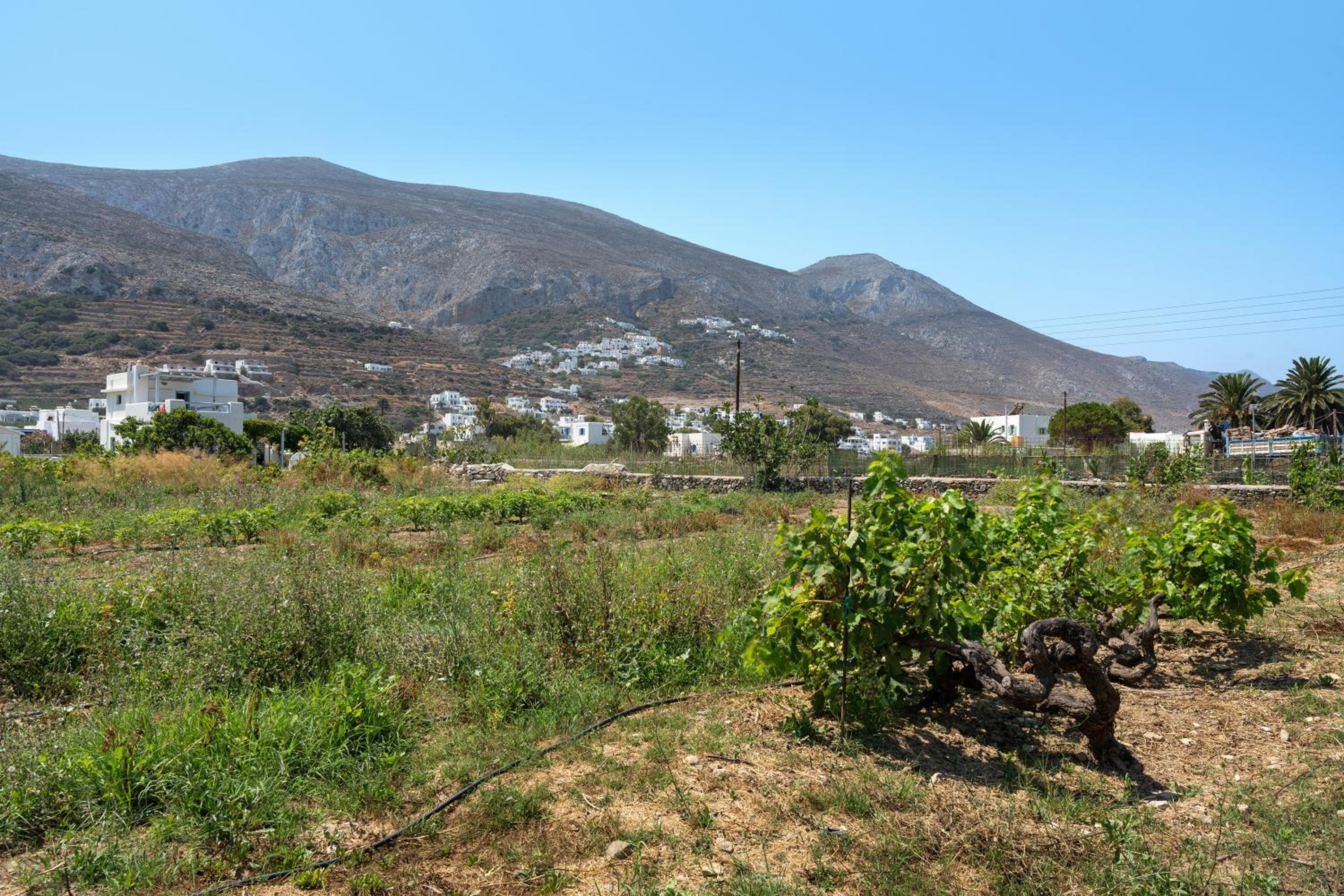 Livadi House Amorgos