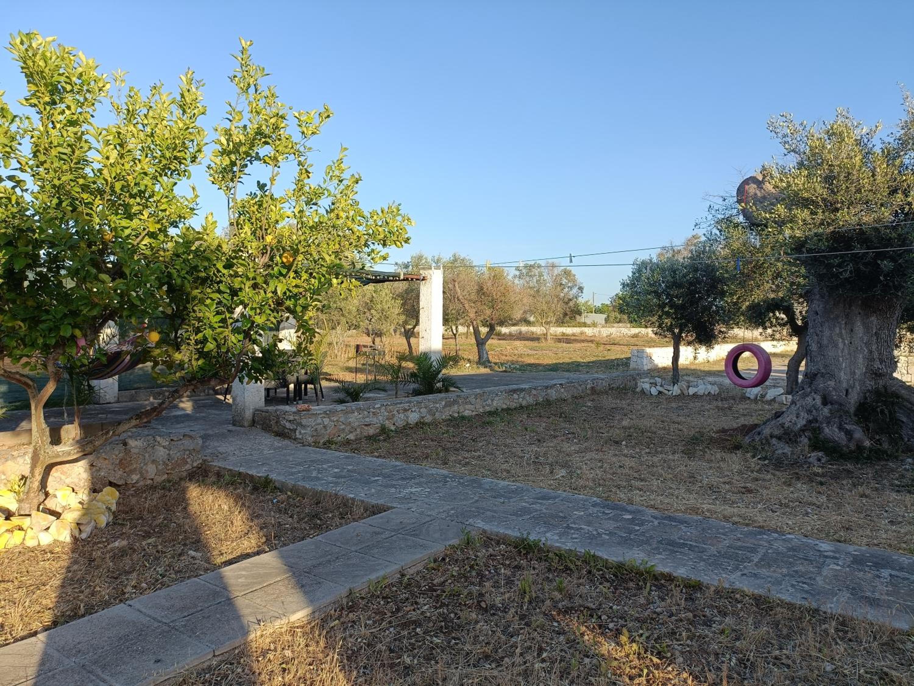 Photo 48